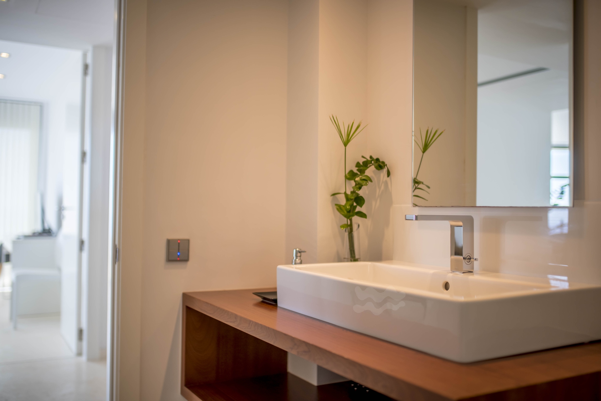 Rowan, Can Pep Simo 55