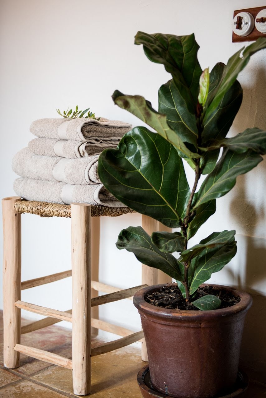 Luna, Santa Gertrudis 43