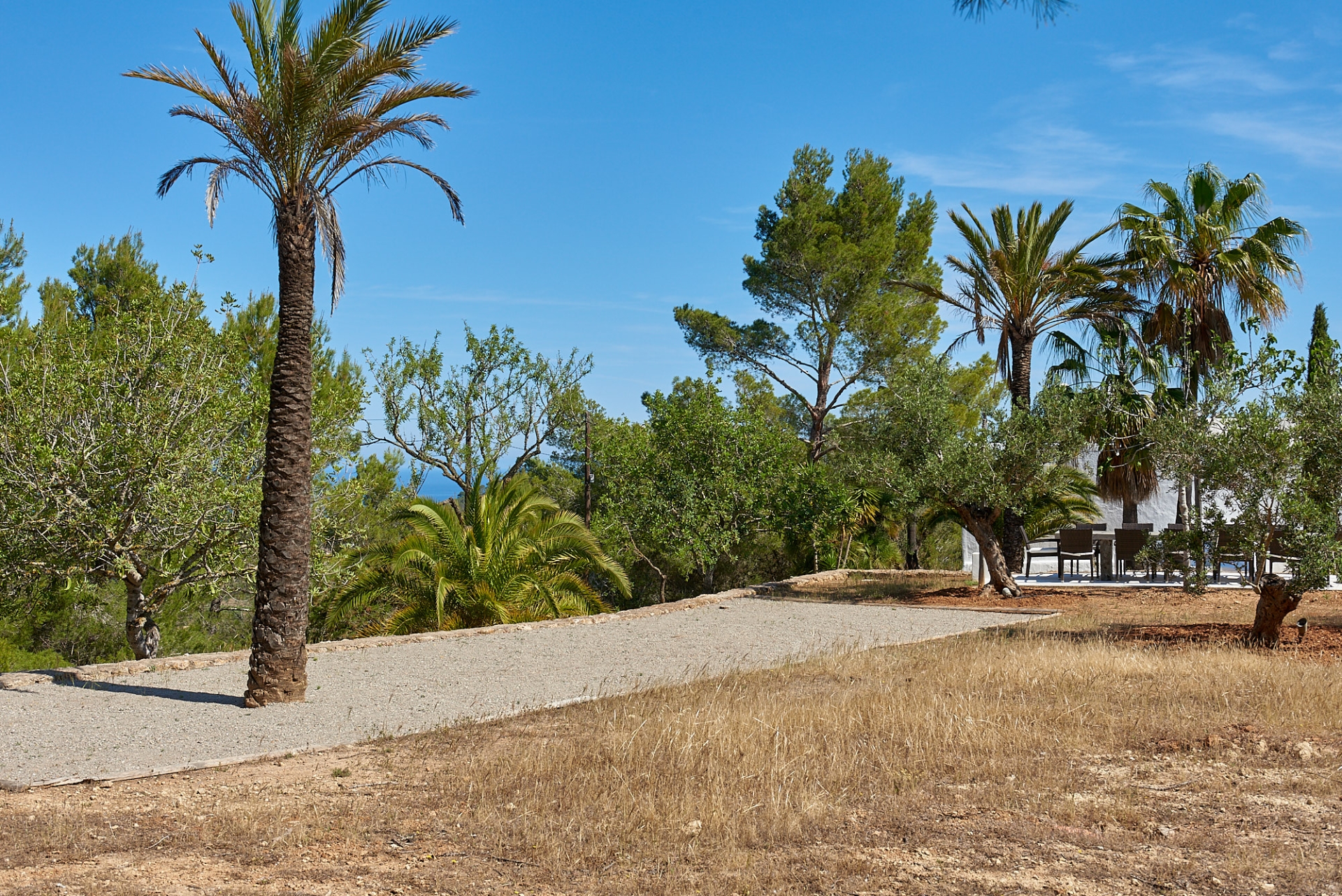 Josephine, San Augustin 84