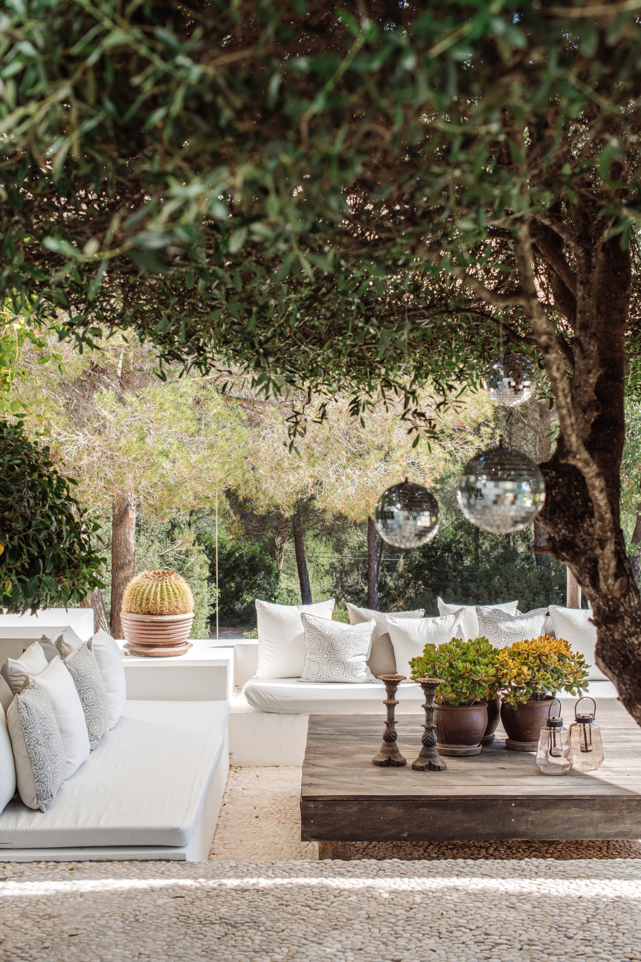 Elisa, Santa Gertrudis 11