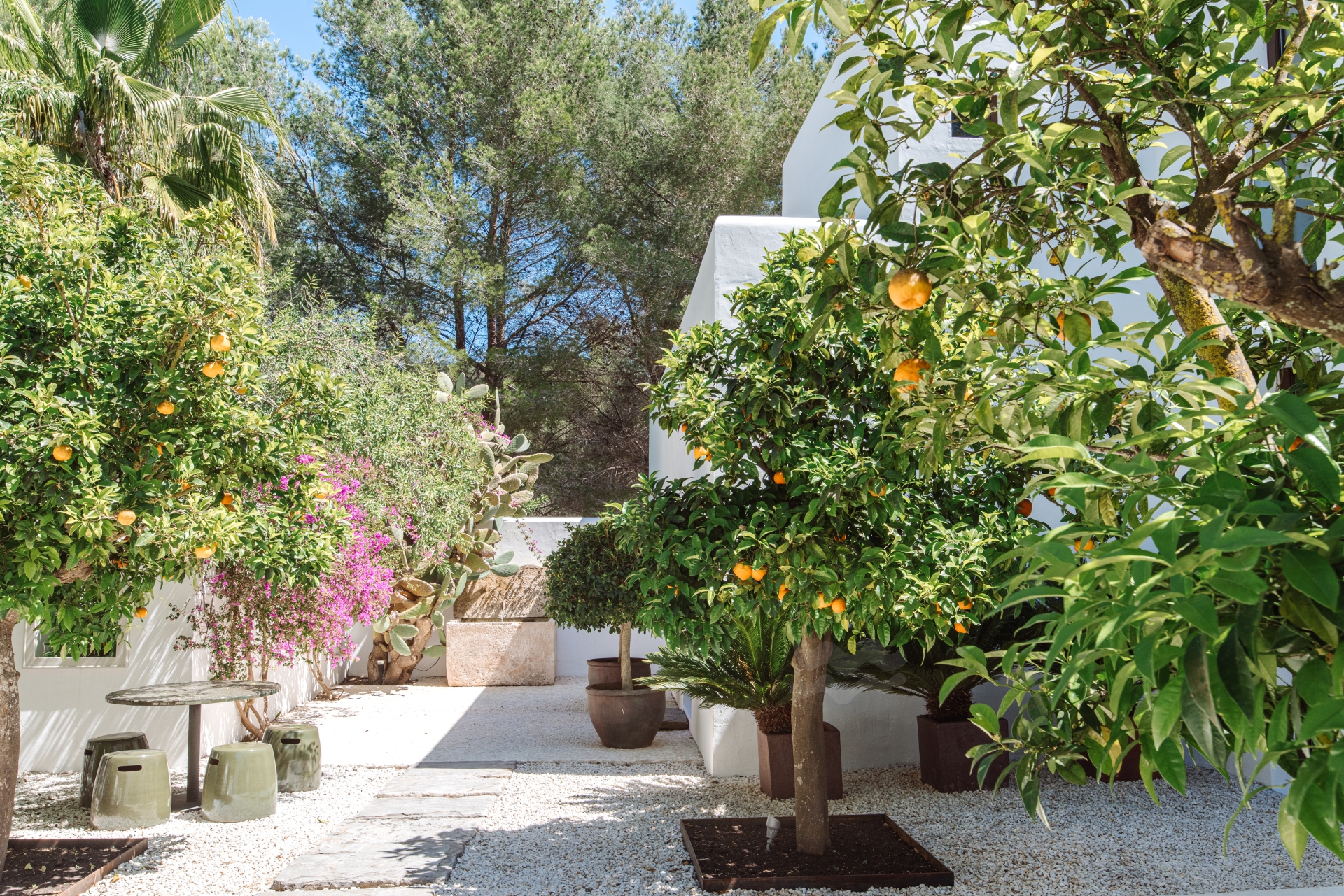 Elisa, Santa Gertrudis 58