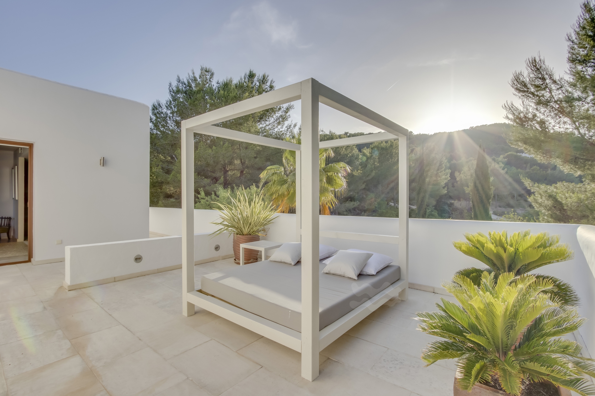 Elisa, Santa Gertrudis 41