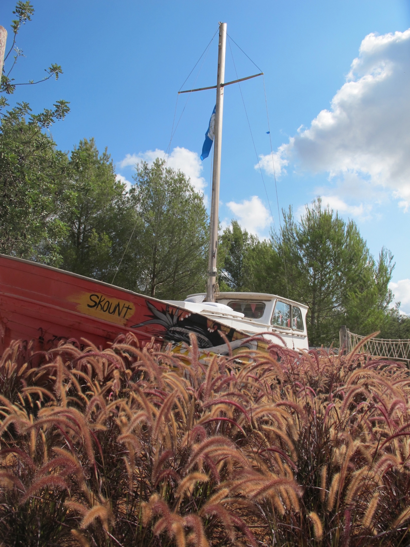 Elisa, Santa Gertrudis 62