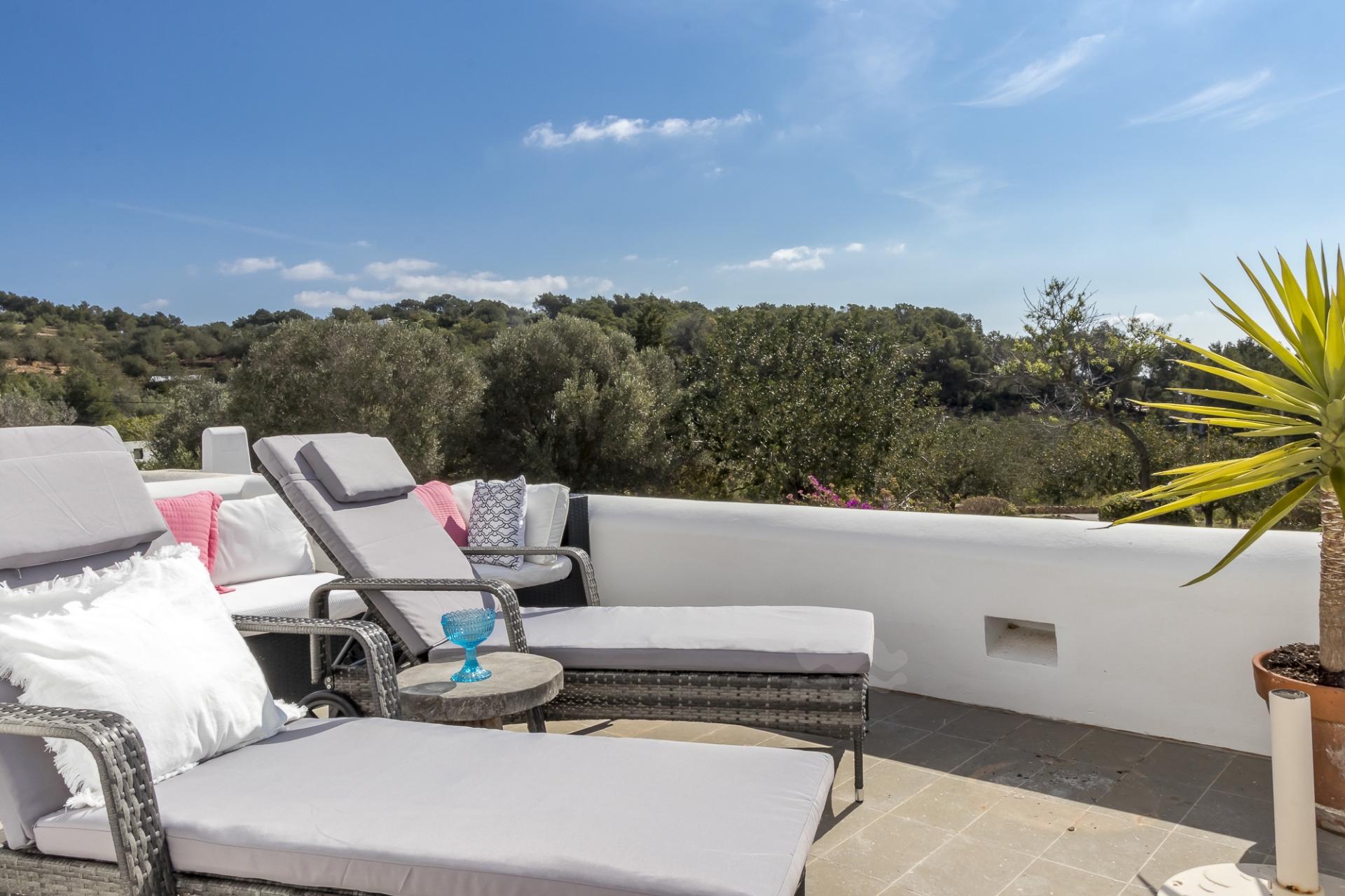 Sanna, San Carlos 52