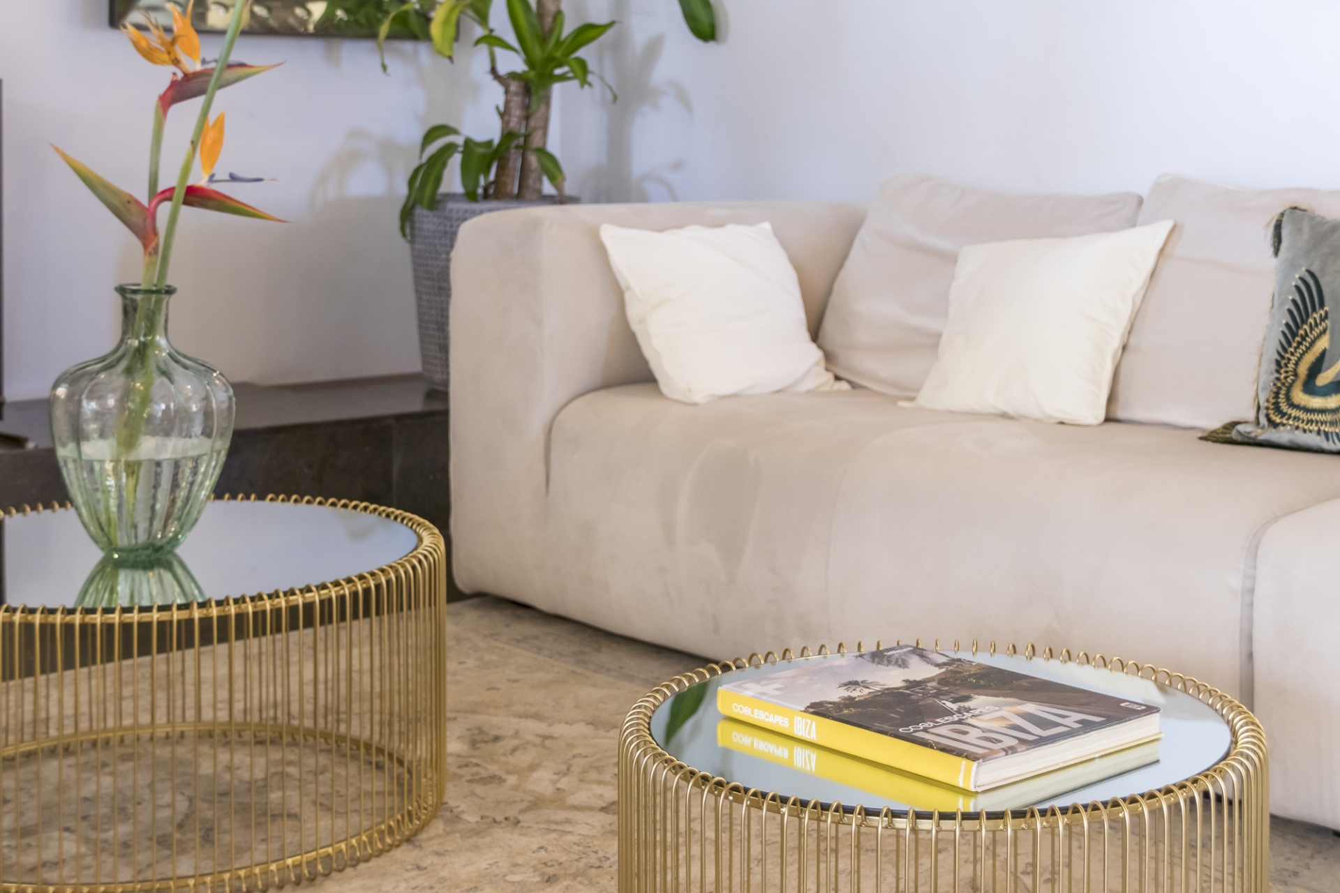 Sanna, San Carlos 100