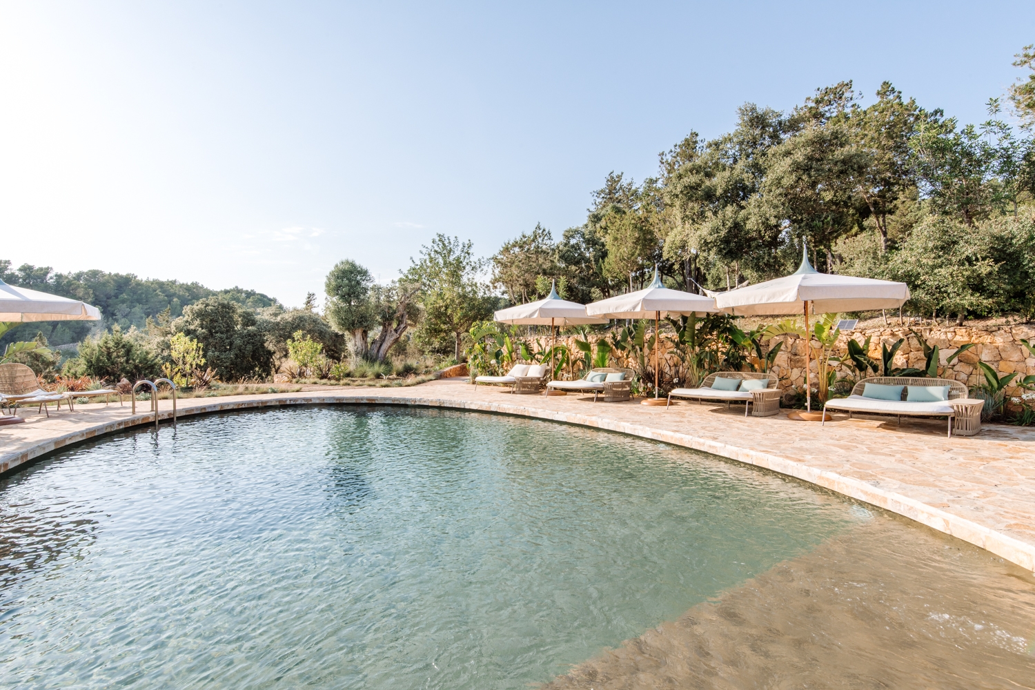 Danie, San Lorenzo 81