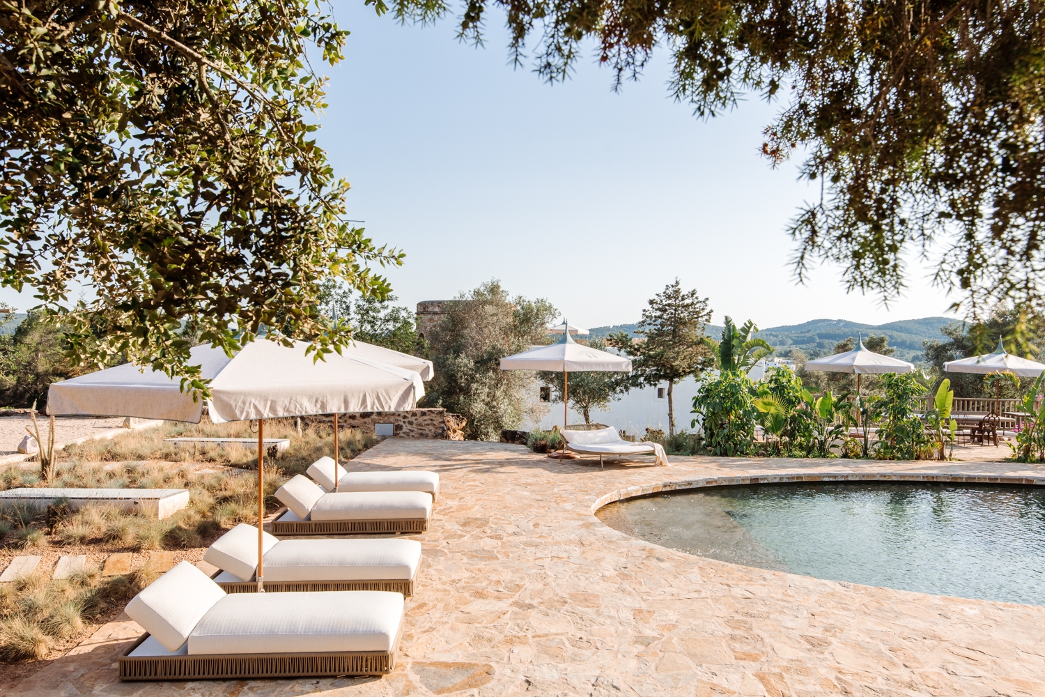 Danie, San Lorenzo 1