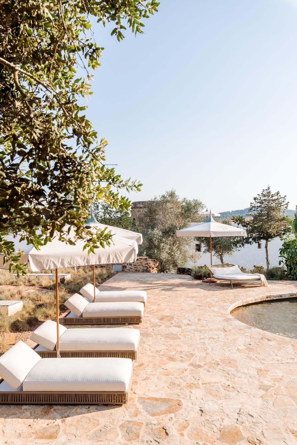 Danie, San Lorenzo 84