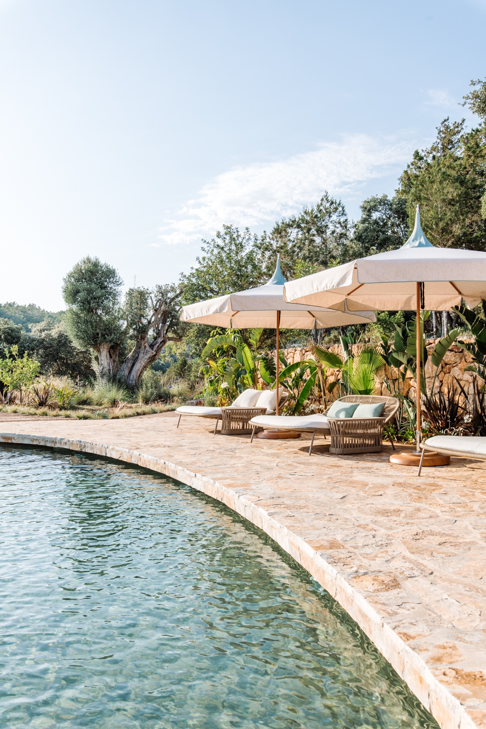 Danie, San Lorenzo 82