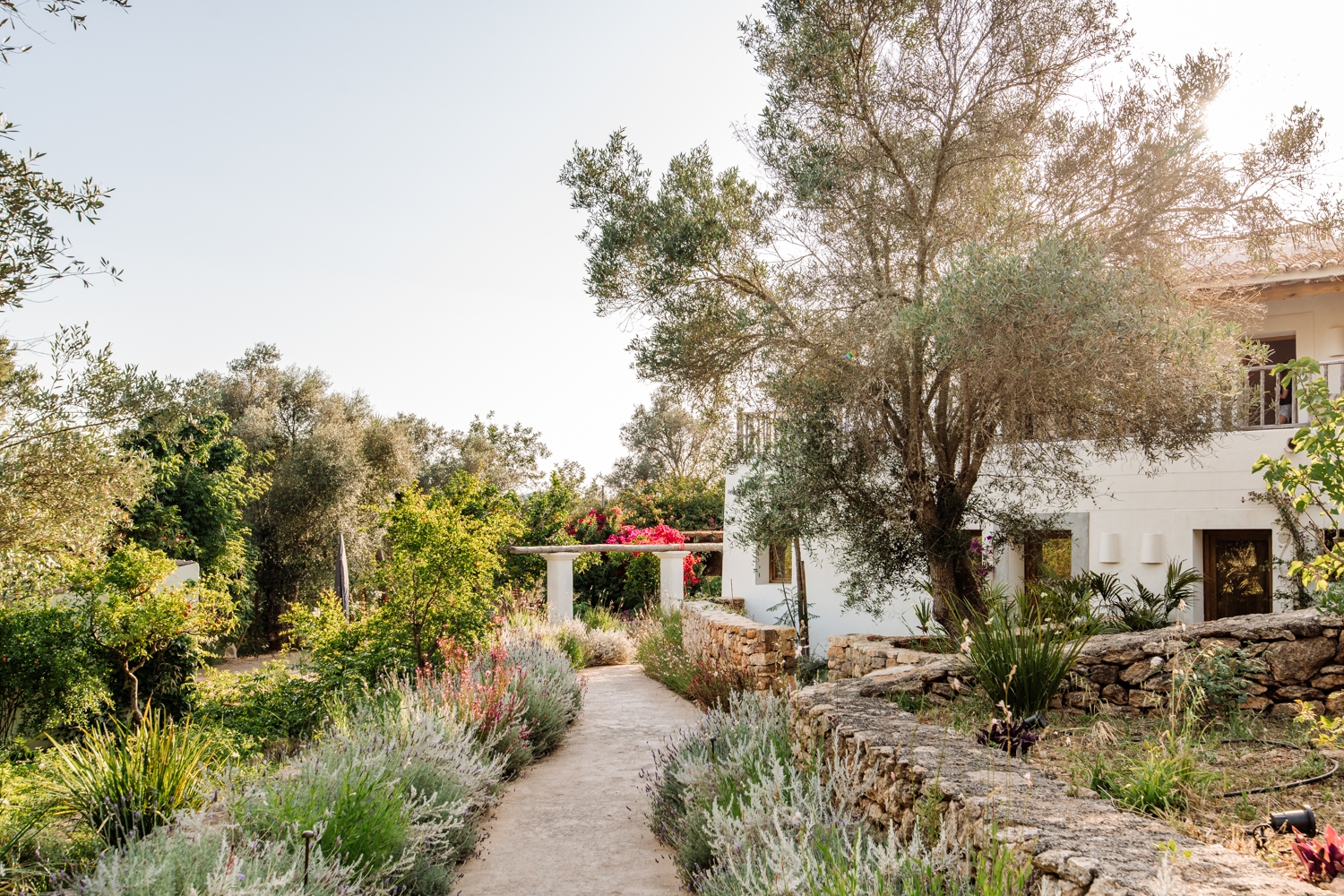 Danie, San Lorenzo 86