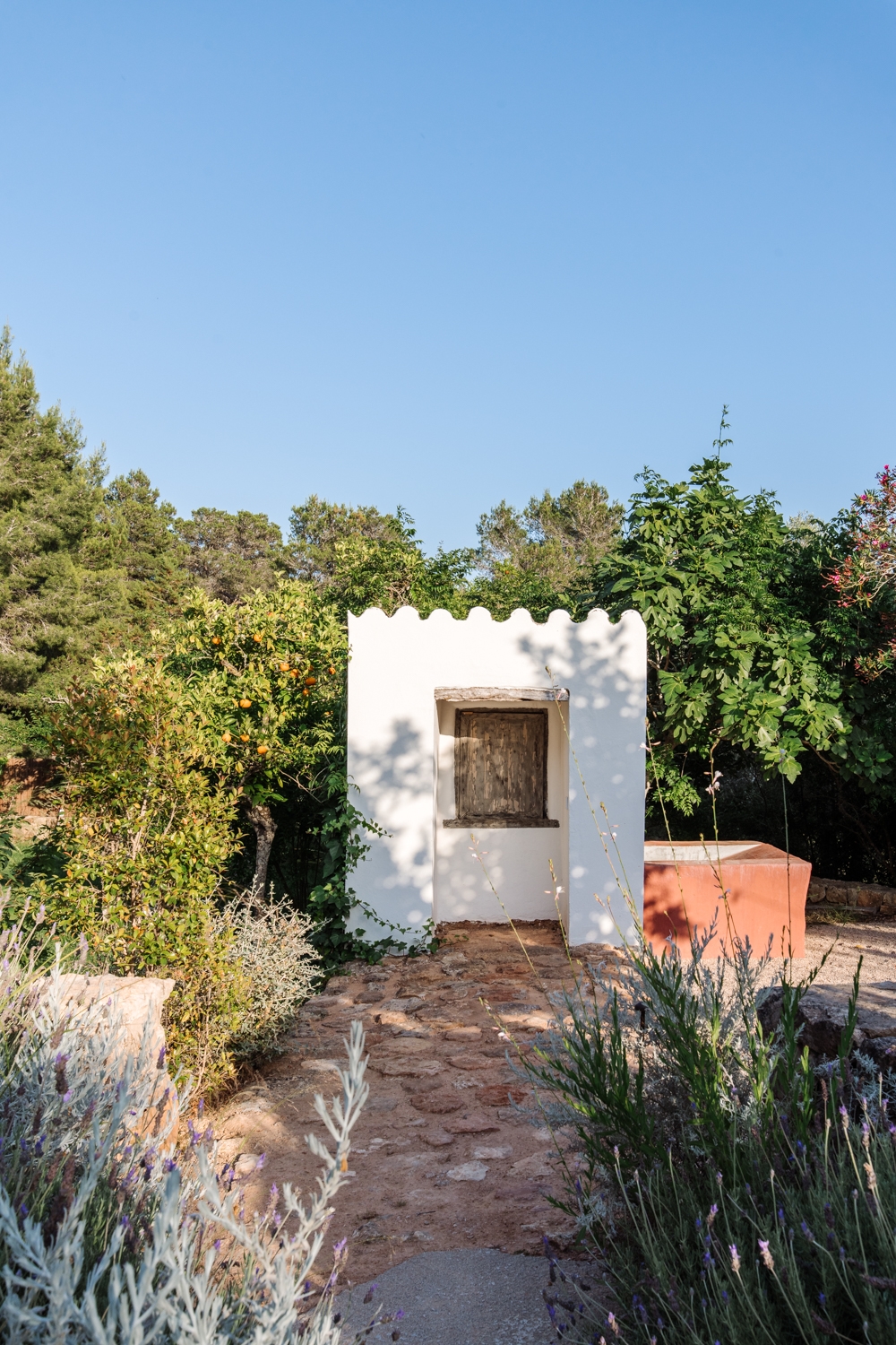 Danie, San Lorenzo 91