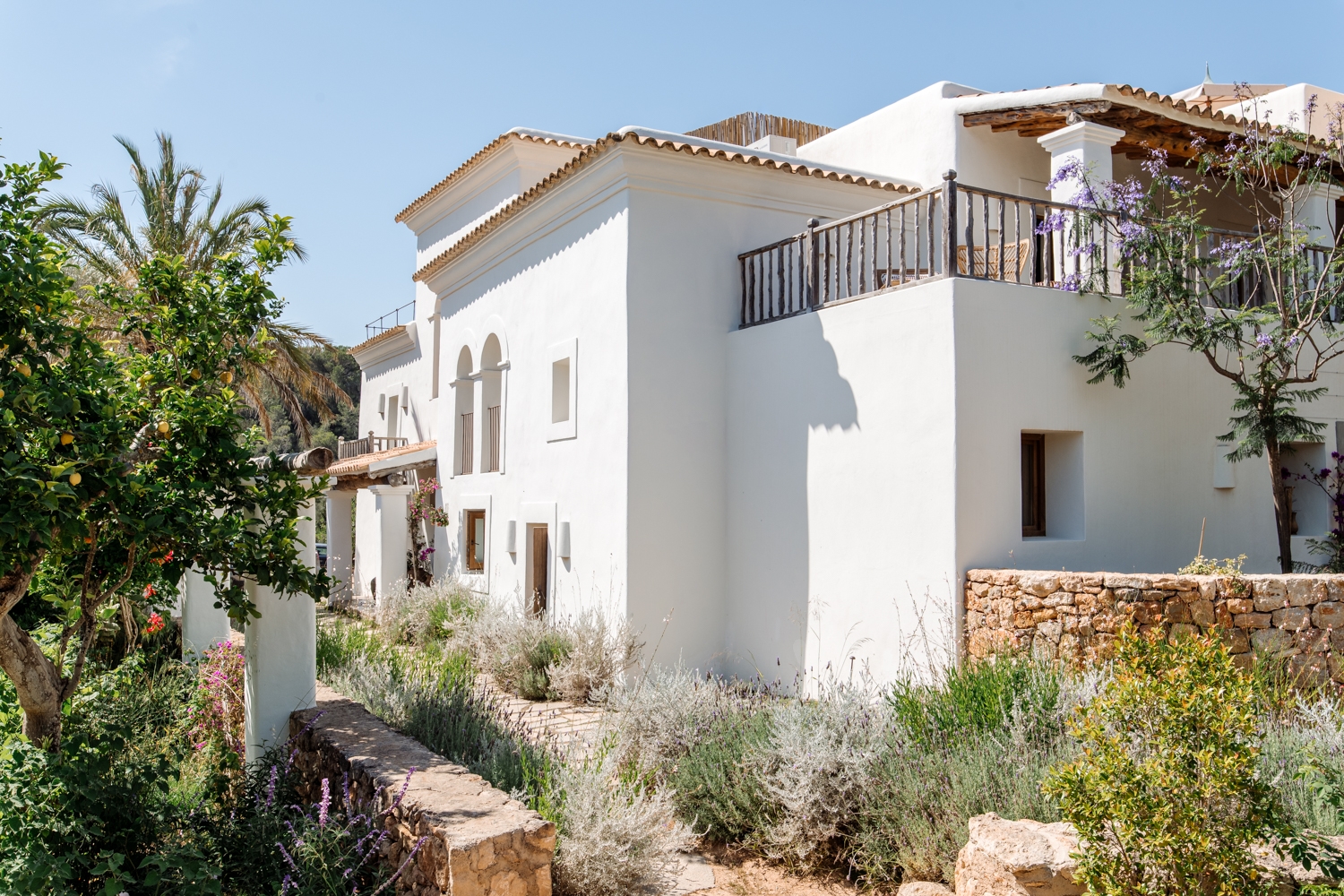 Danie, San Lorenzo 37