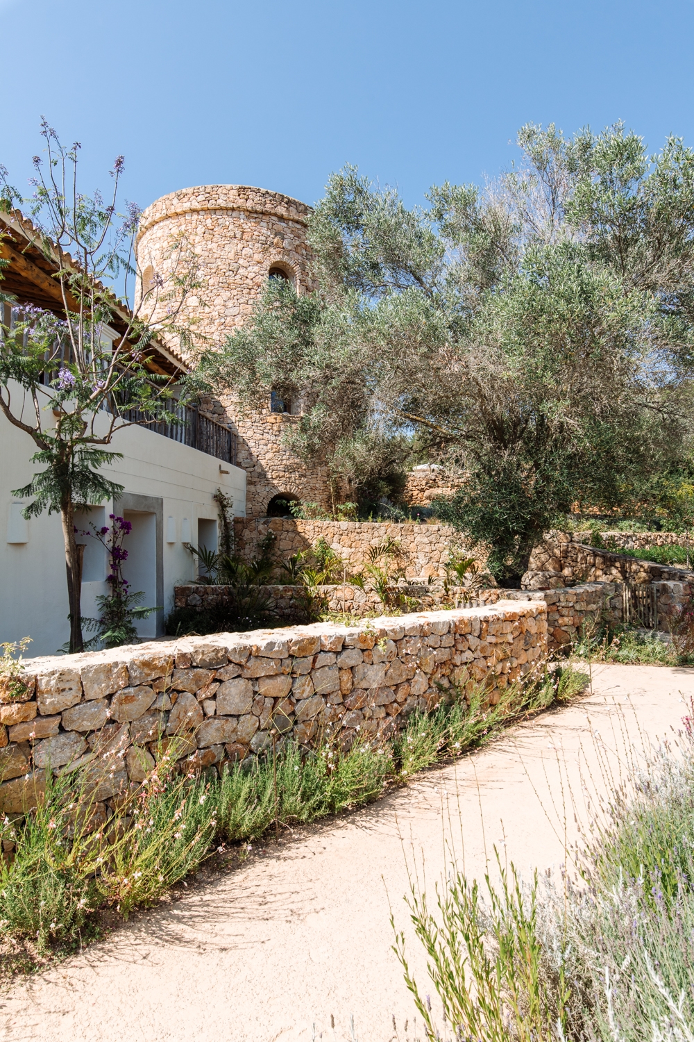 Danie, San Lorenzo 38