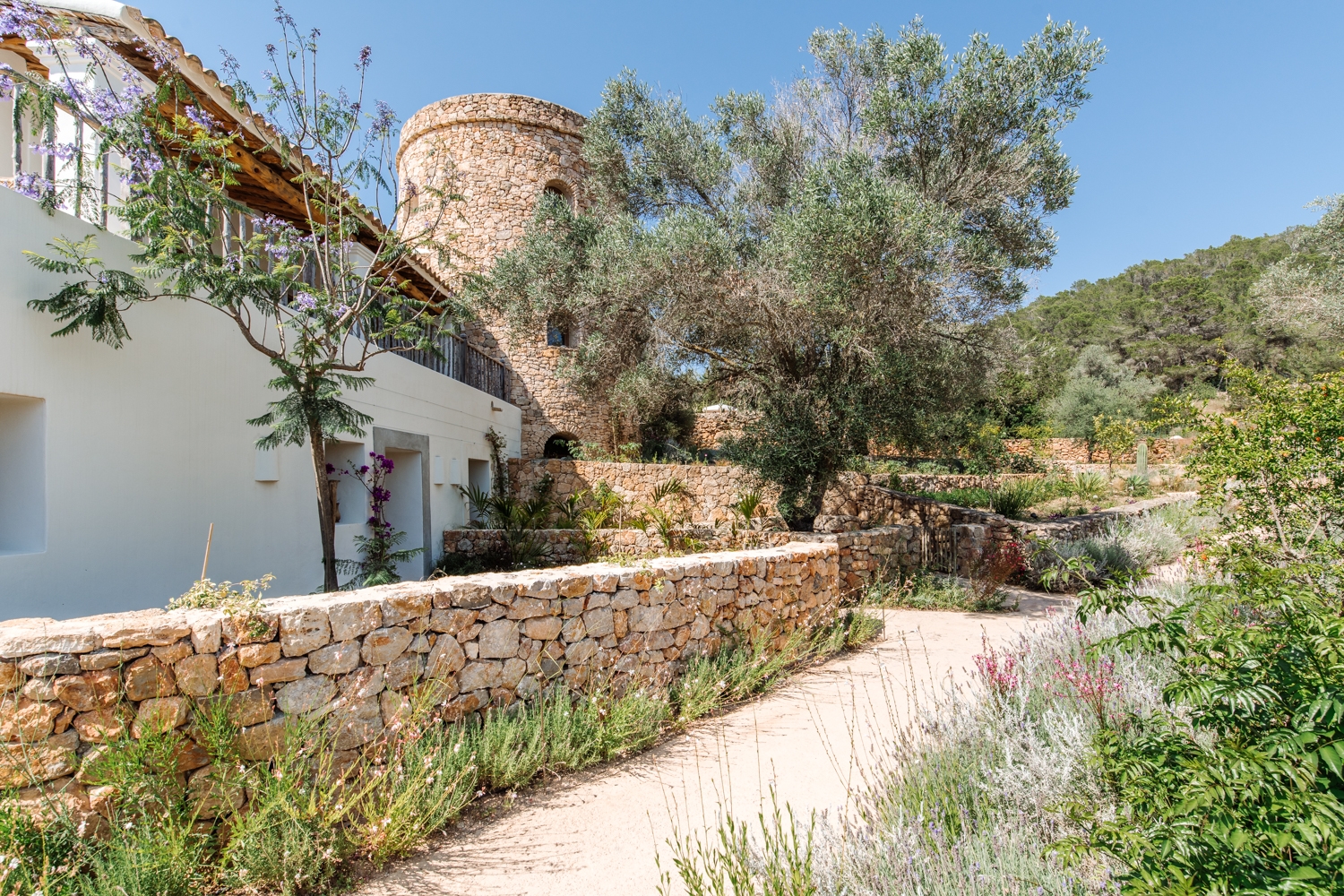 Danie, San Lorenzo 39