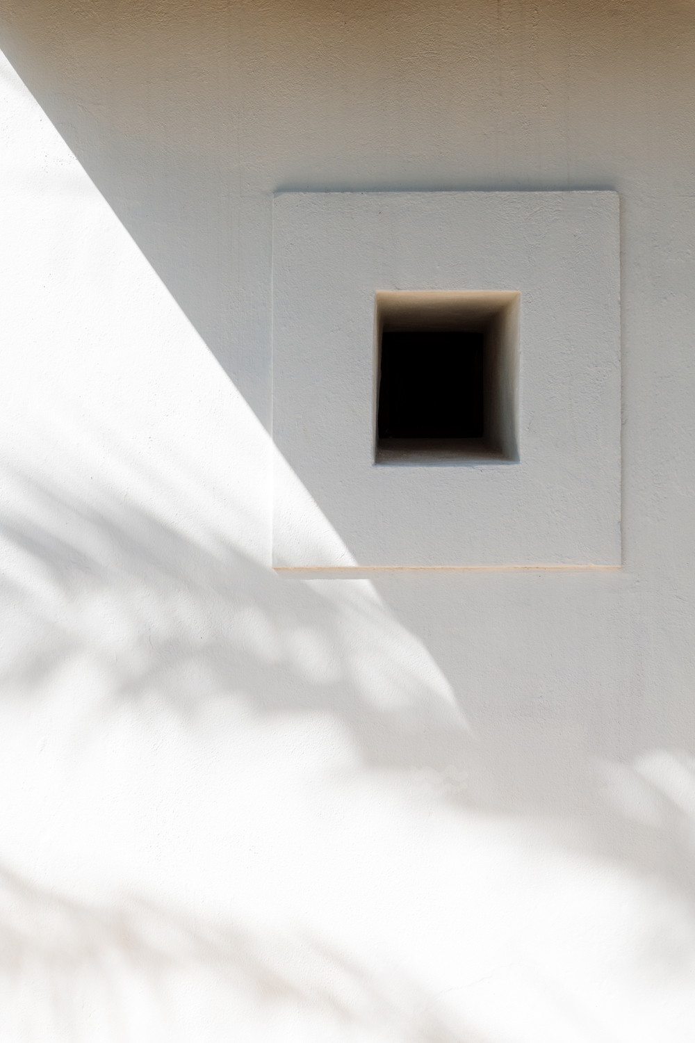 Danie, San Lorenzo 40