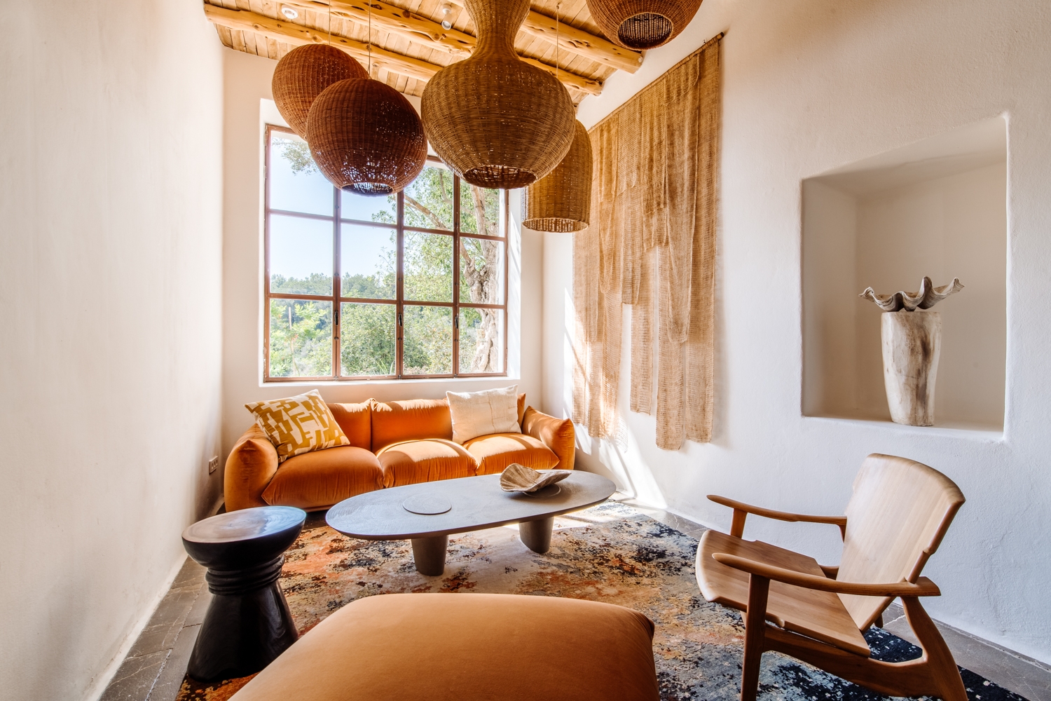 Danie, San Lorenzo 44