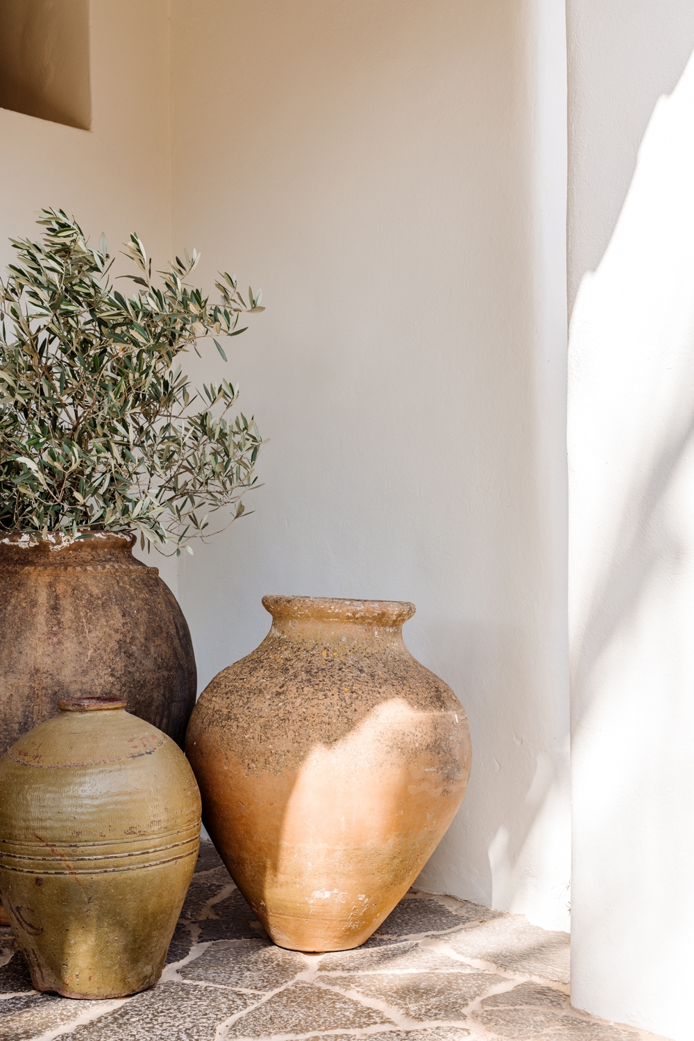 Danie, San Lorenzo 45