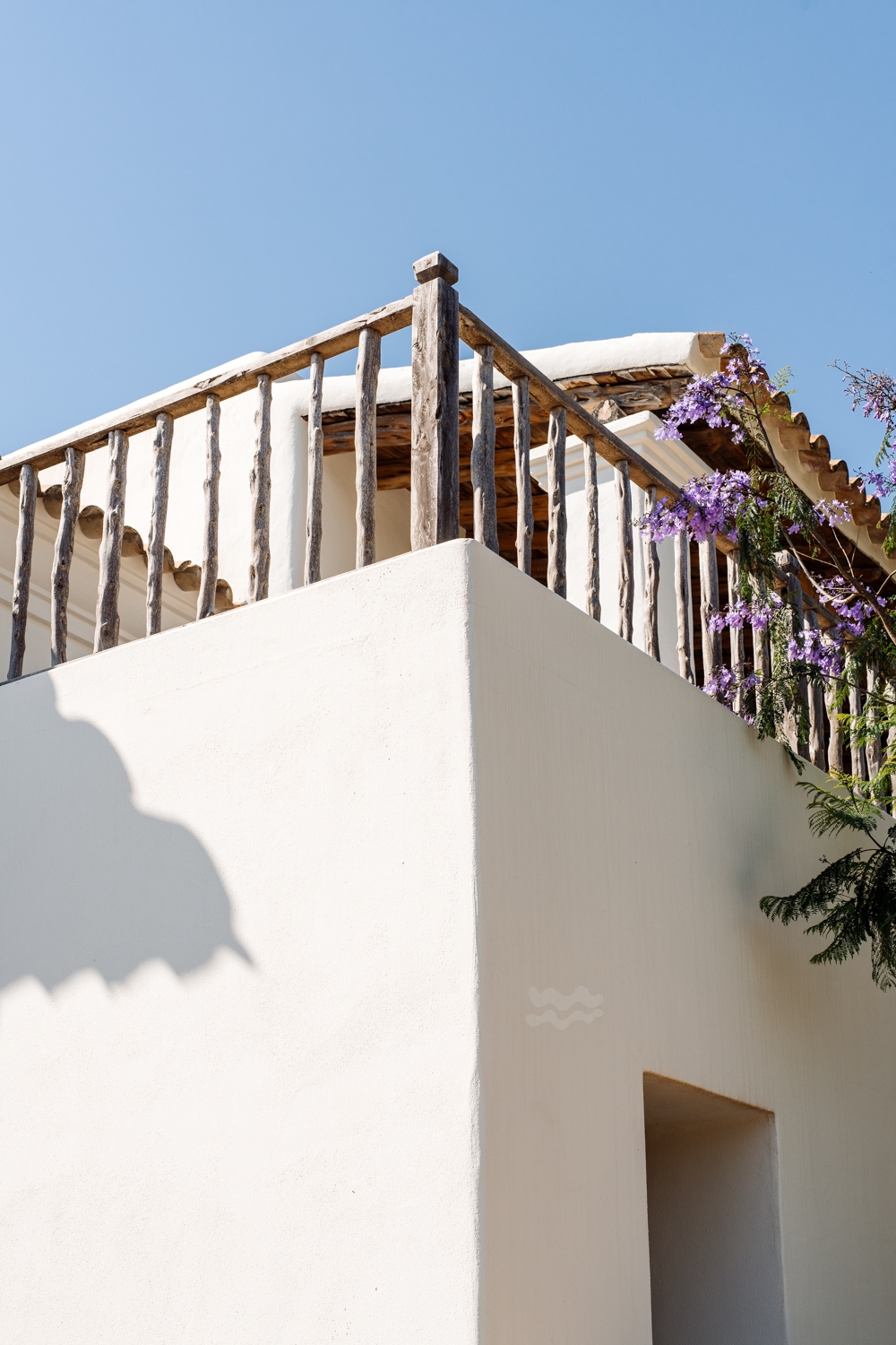 Danie, San Lorenzo 47