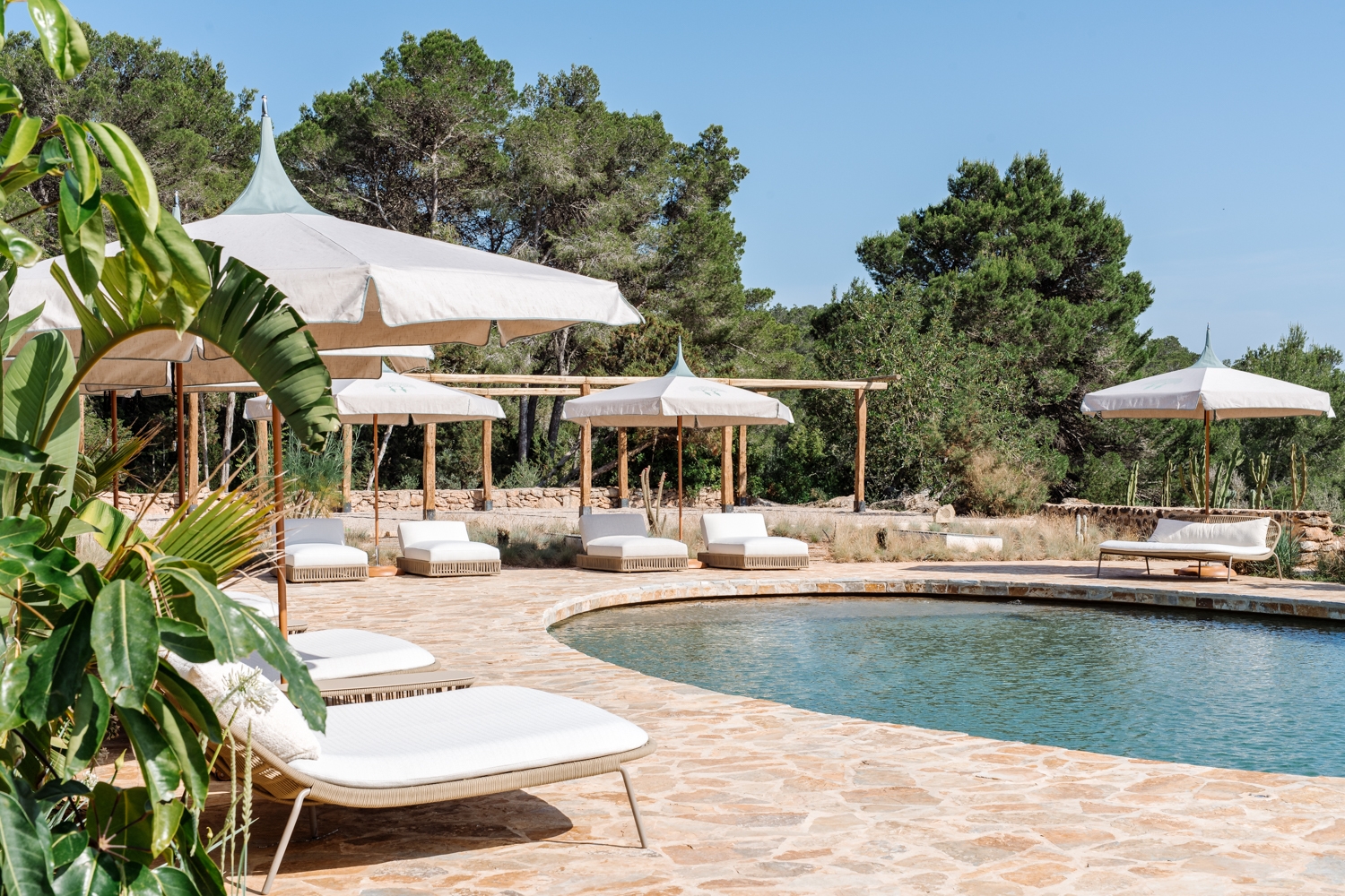 Danie, San Lorenzo 3