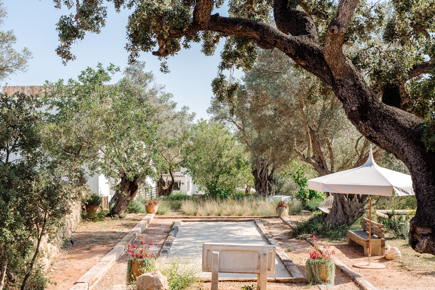 Danie, San Lorenzo 60