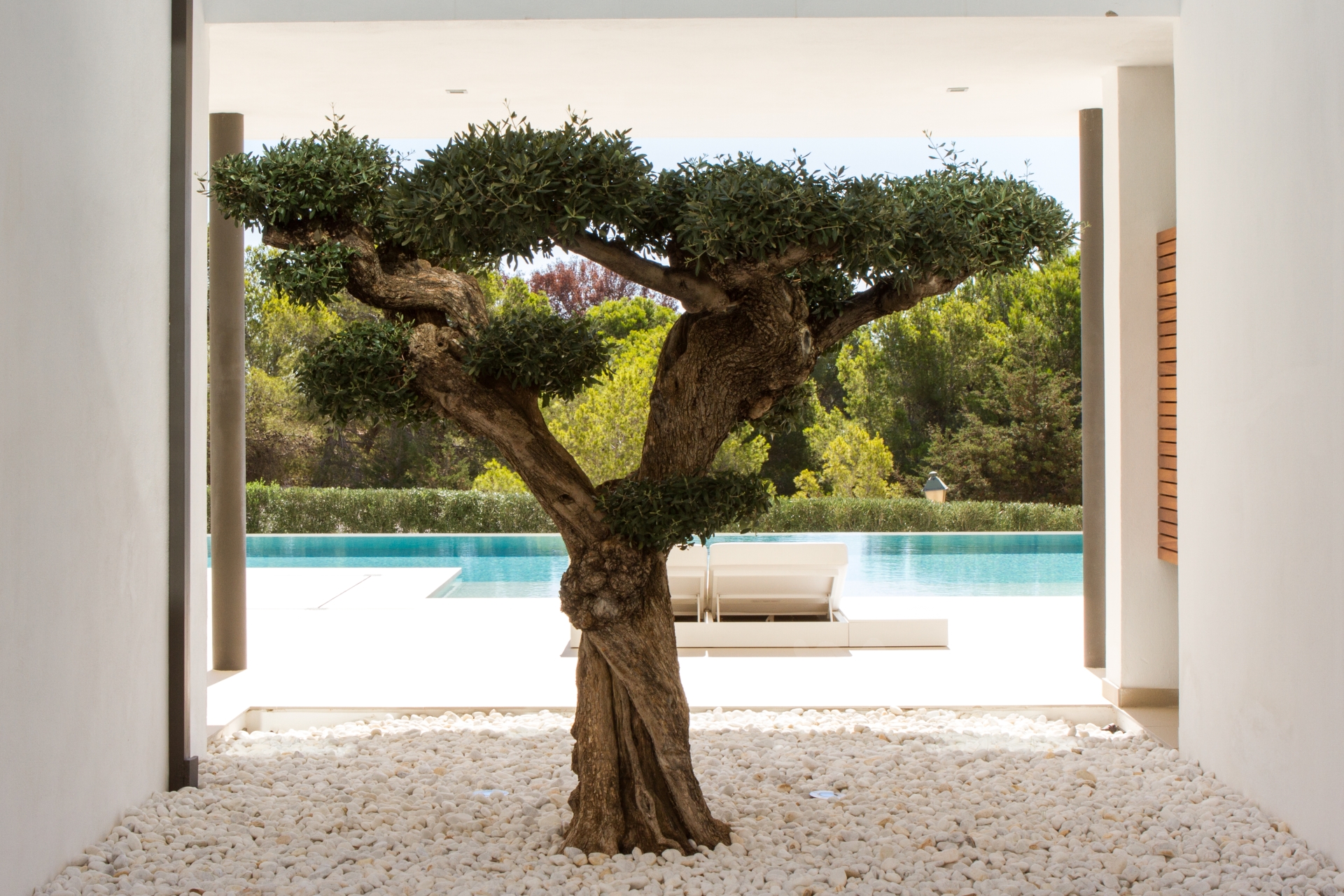 Charlize, Es Cubells 12