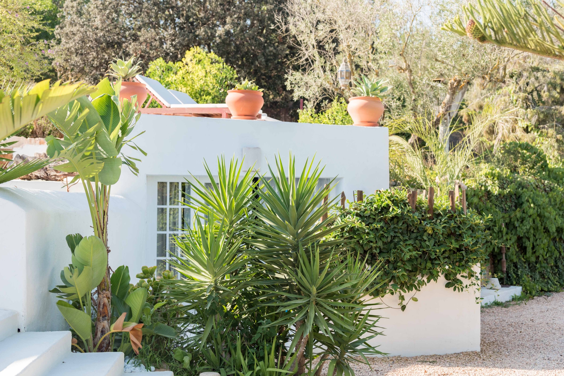 Aurora, Santa Gertrudis 83