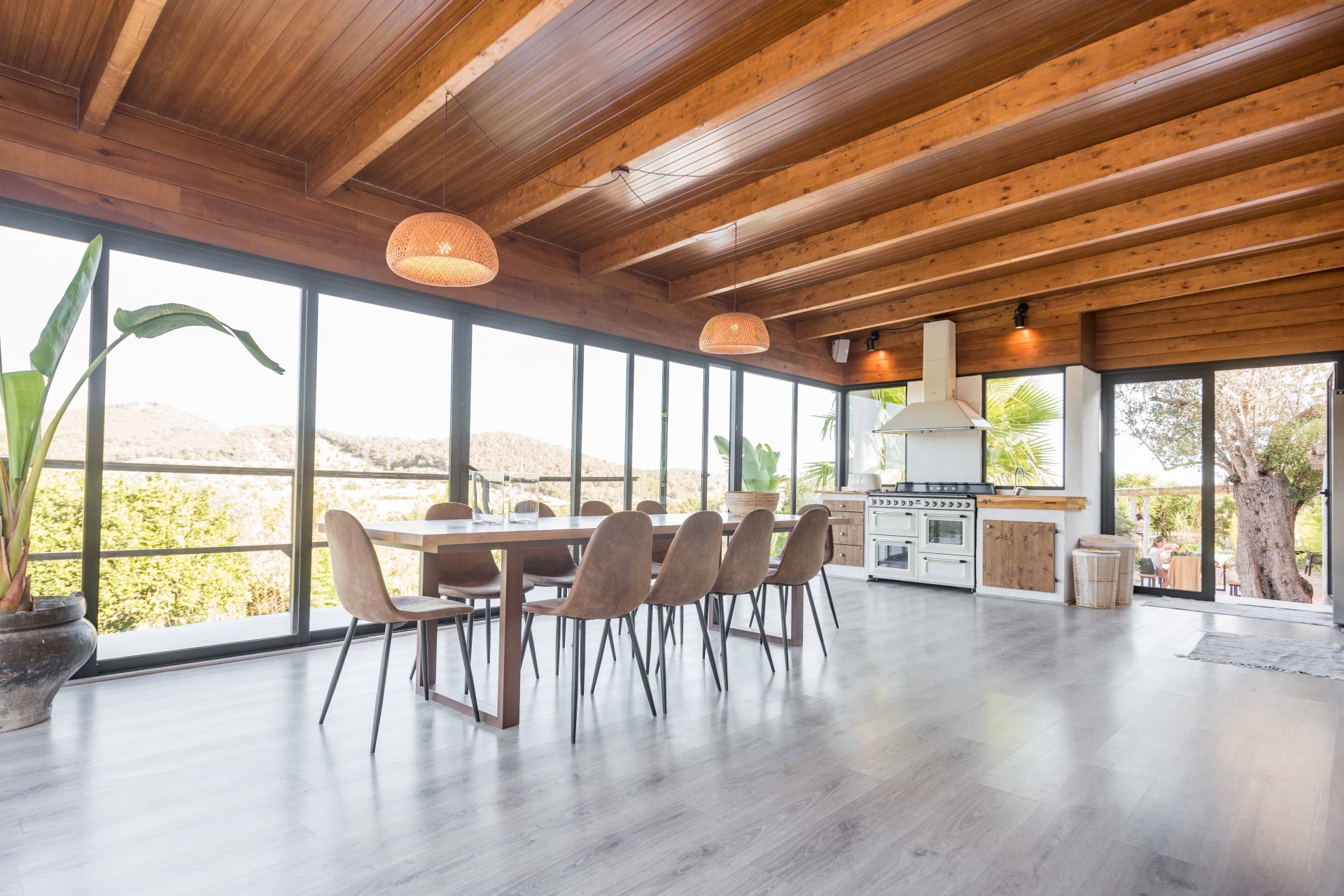 Aurora, Santa Gertrudis 19