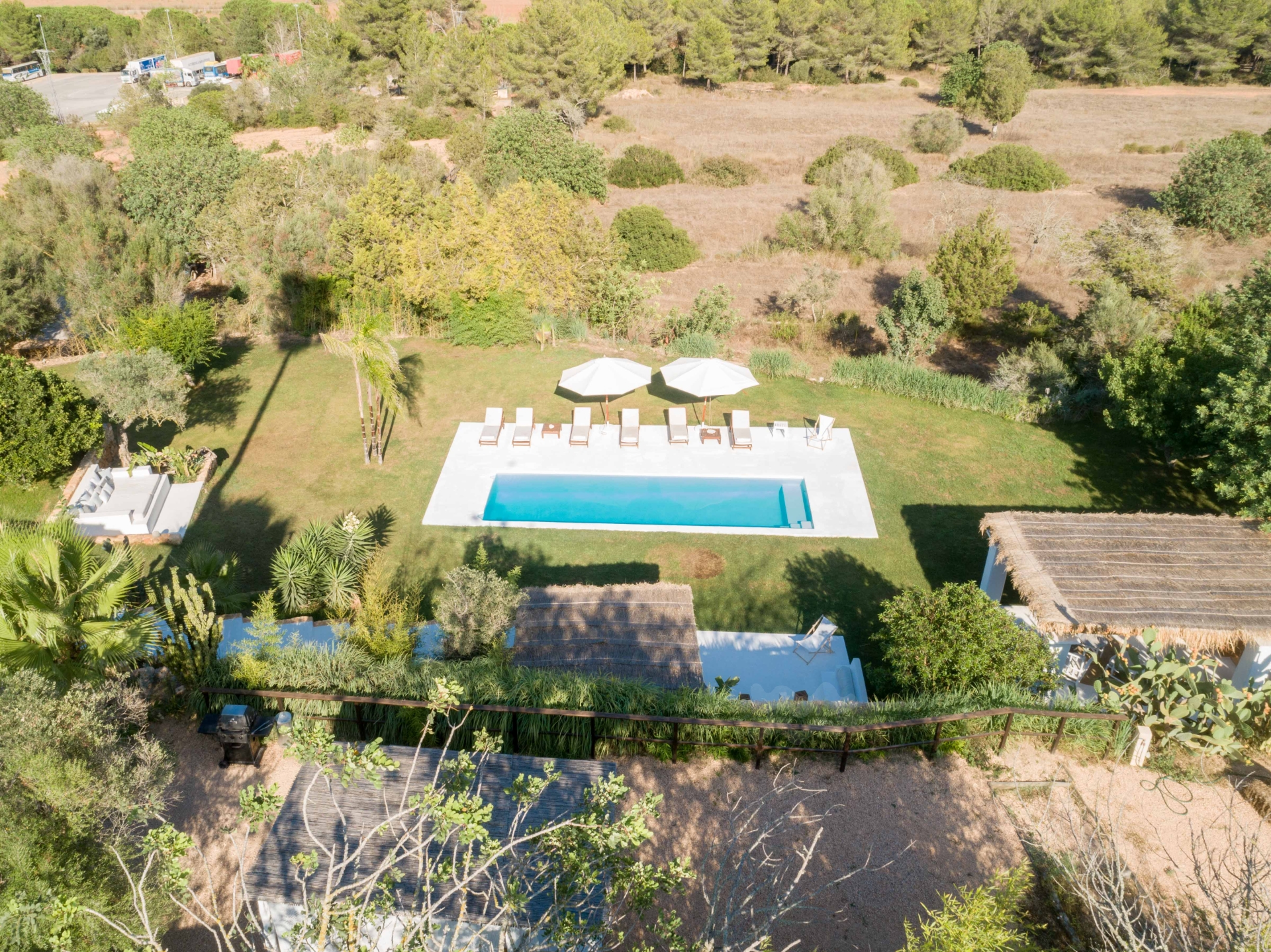 Aurora, Santa Gertrudis 96