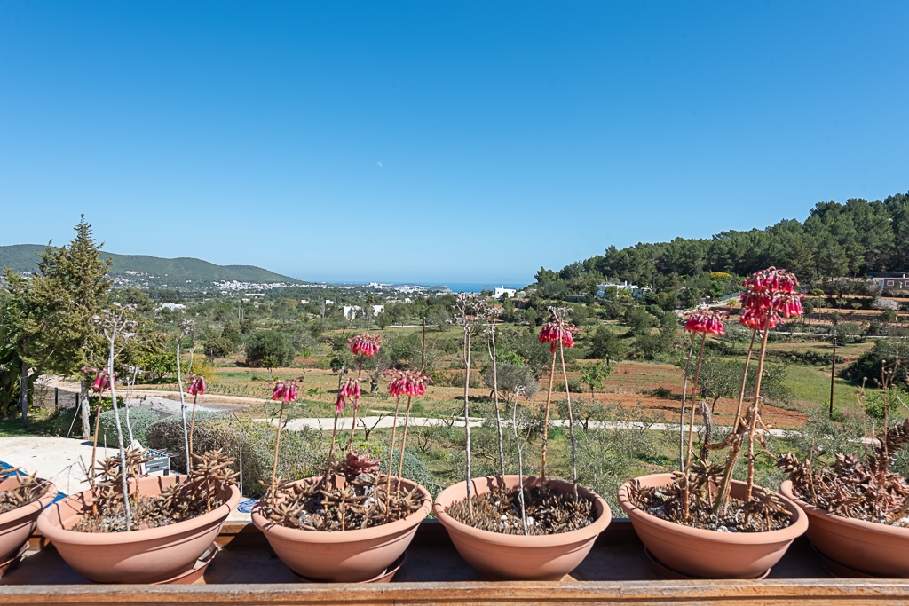 Yarah, Santa Eulalia 39