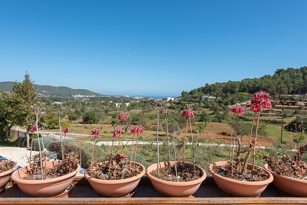 Yarah, Santa Eulalia 40