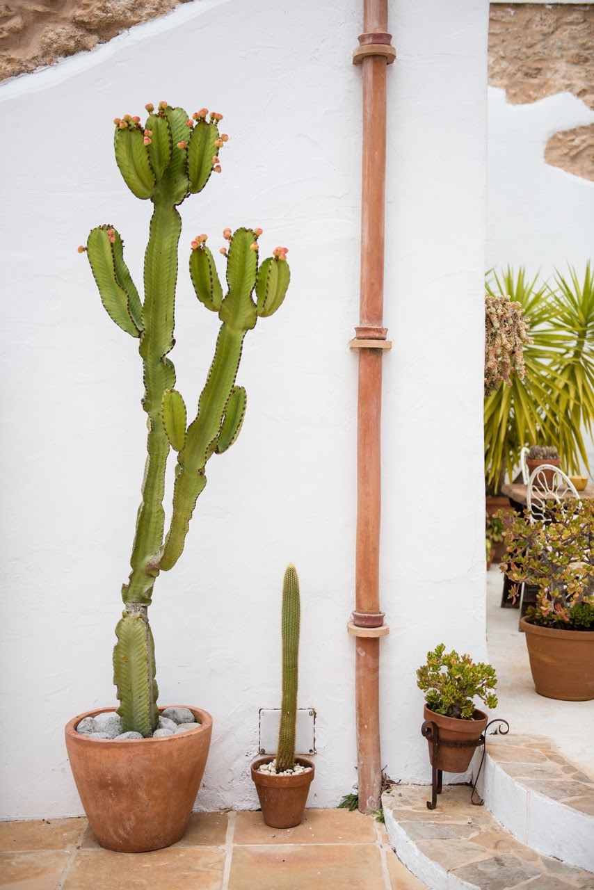 Luna, Santa Gertrudis 48