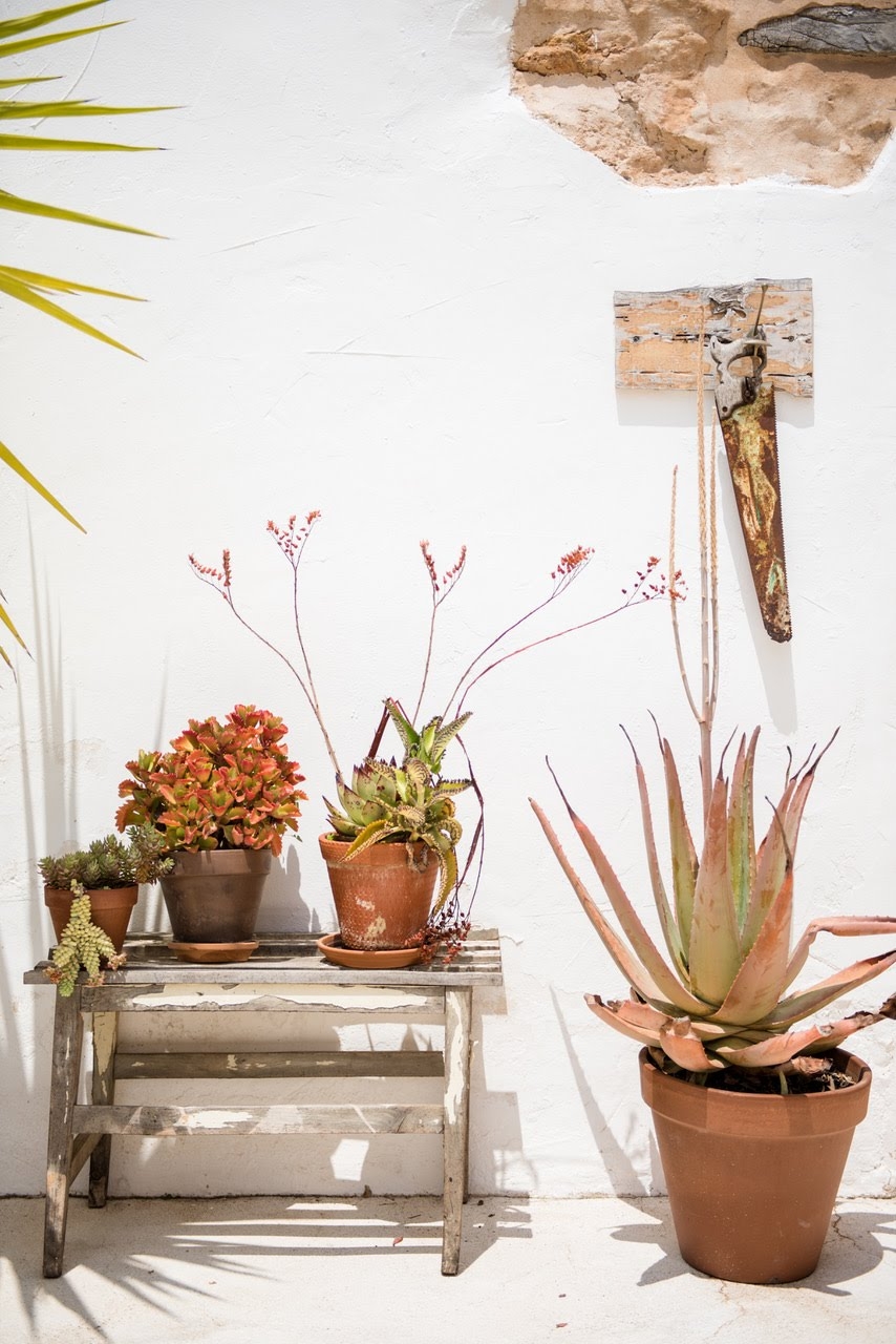 Luna, Santa Gertrudis 44