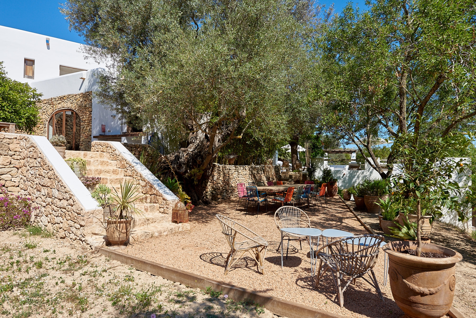 Josephine, San Augustin 27