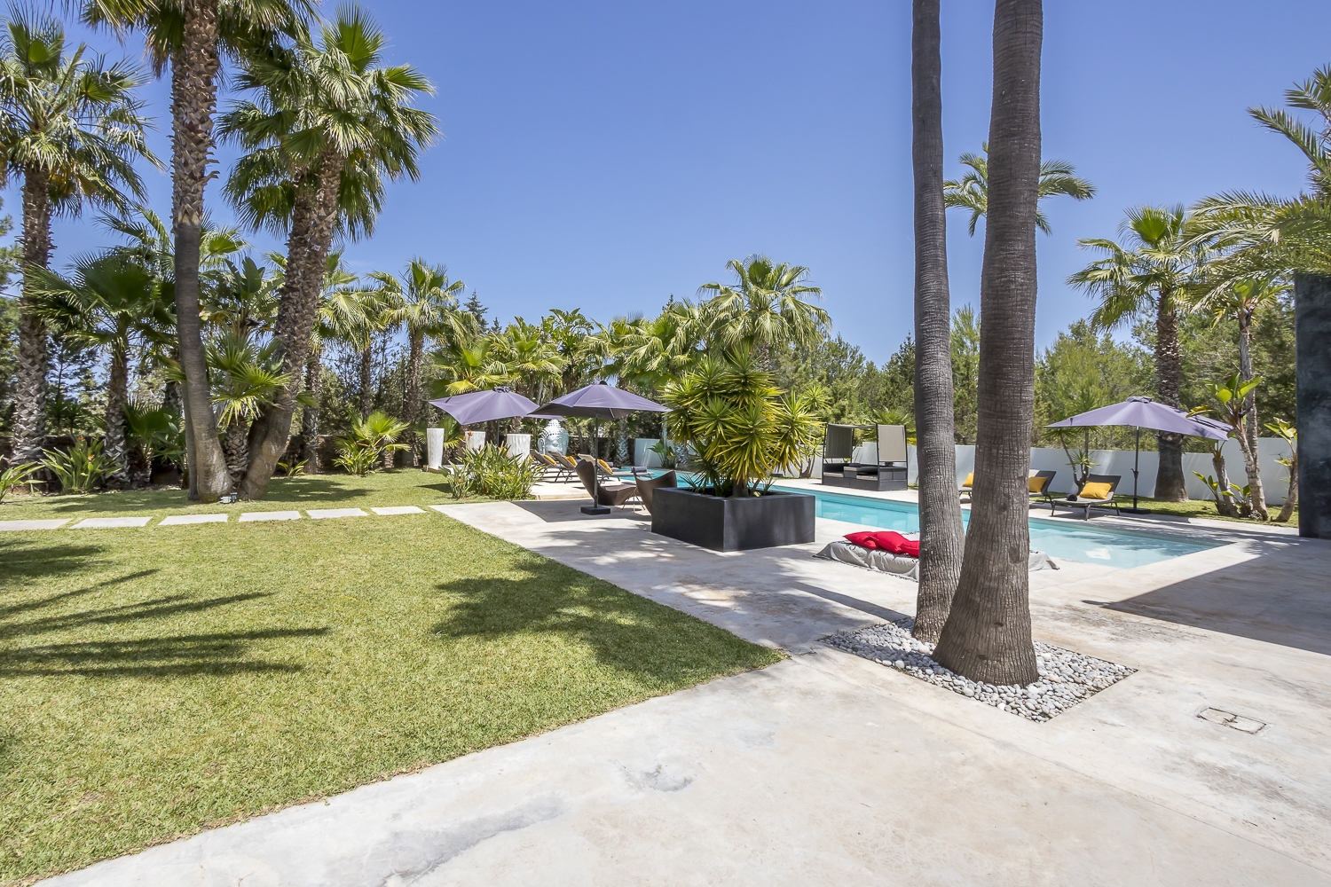 Zoe, Sant Antonio 11