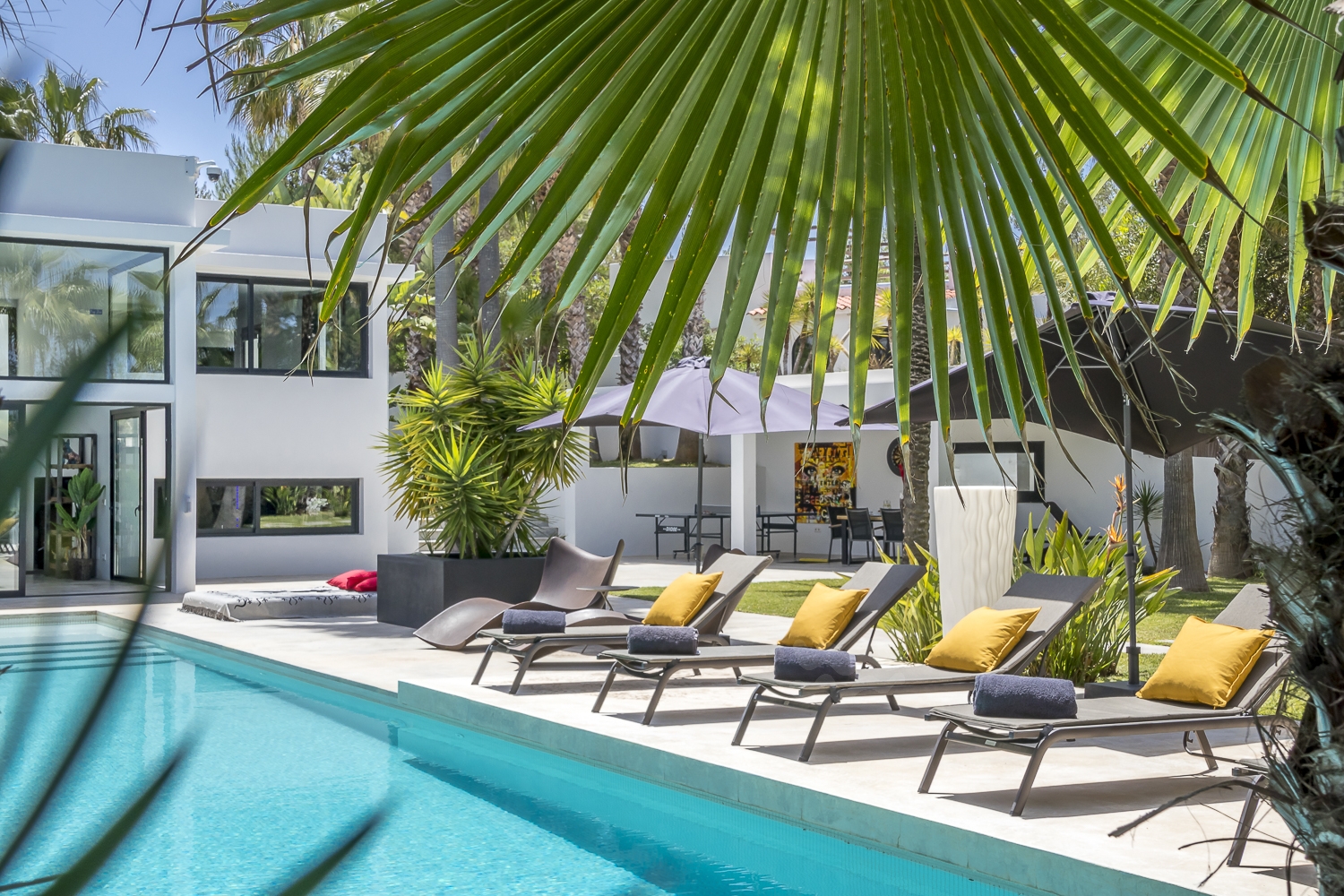 Zoe, Sant Antonio 23