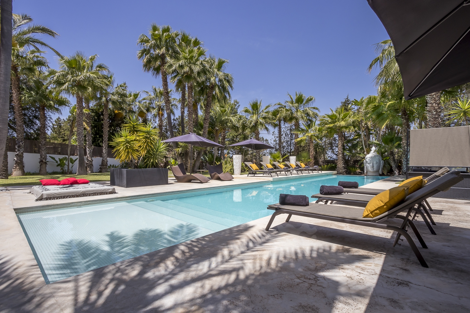 Zoe, Sant Antonio 28