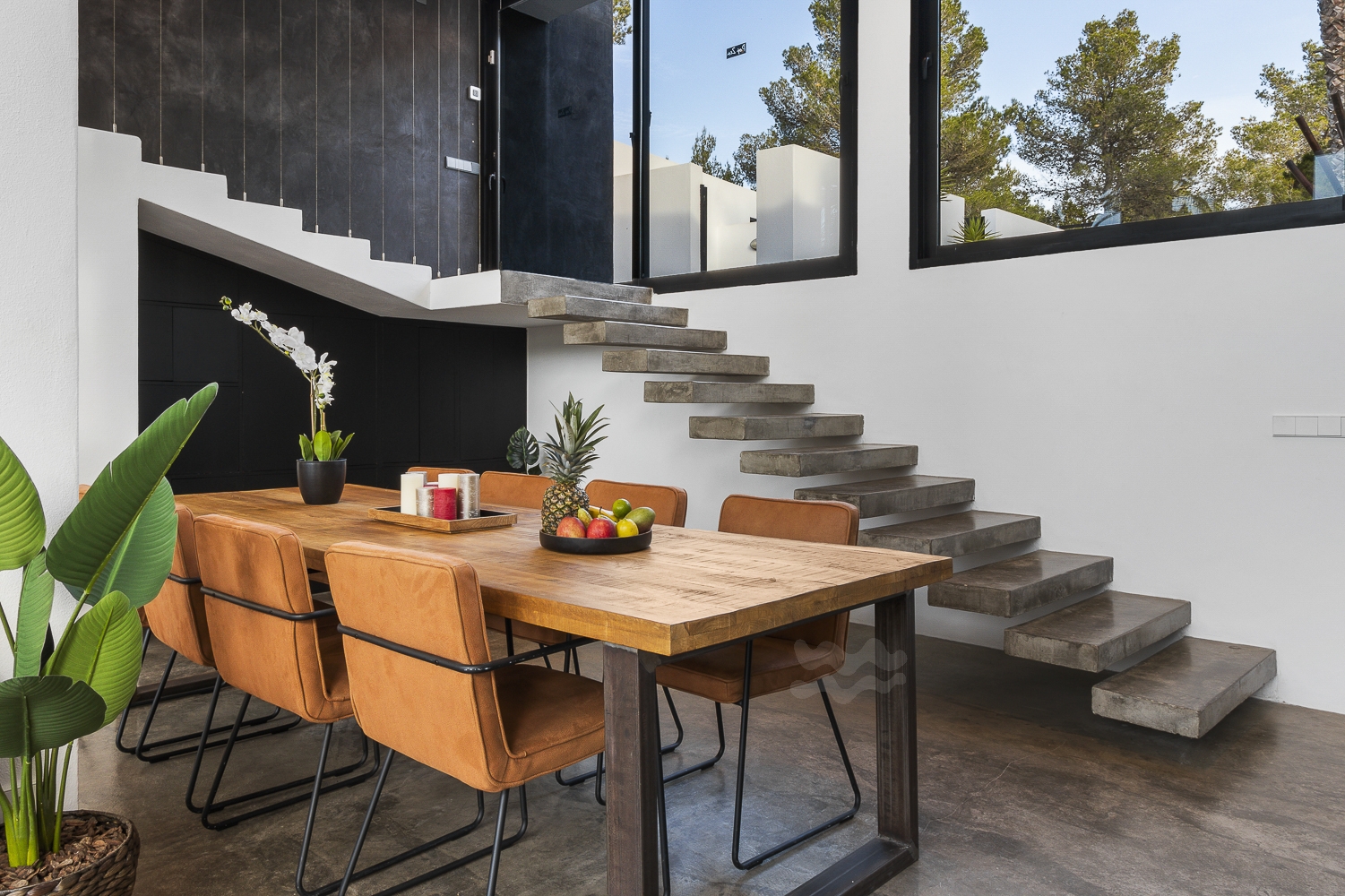 Zoe, Sant Antonio 52