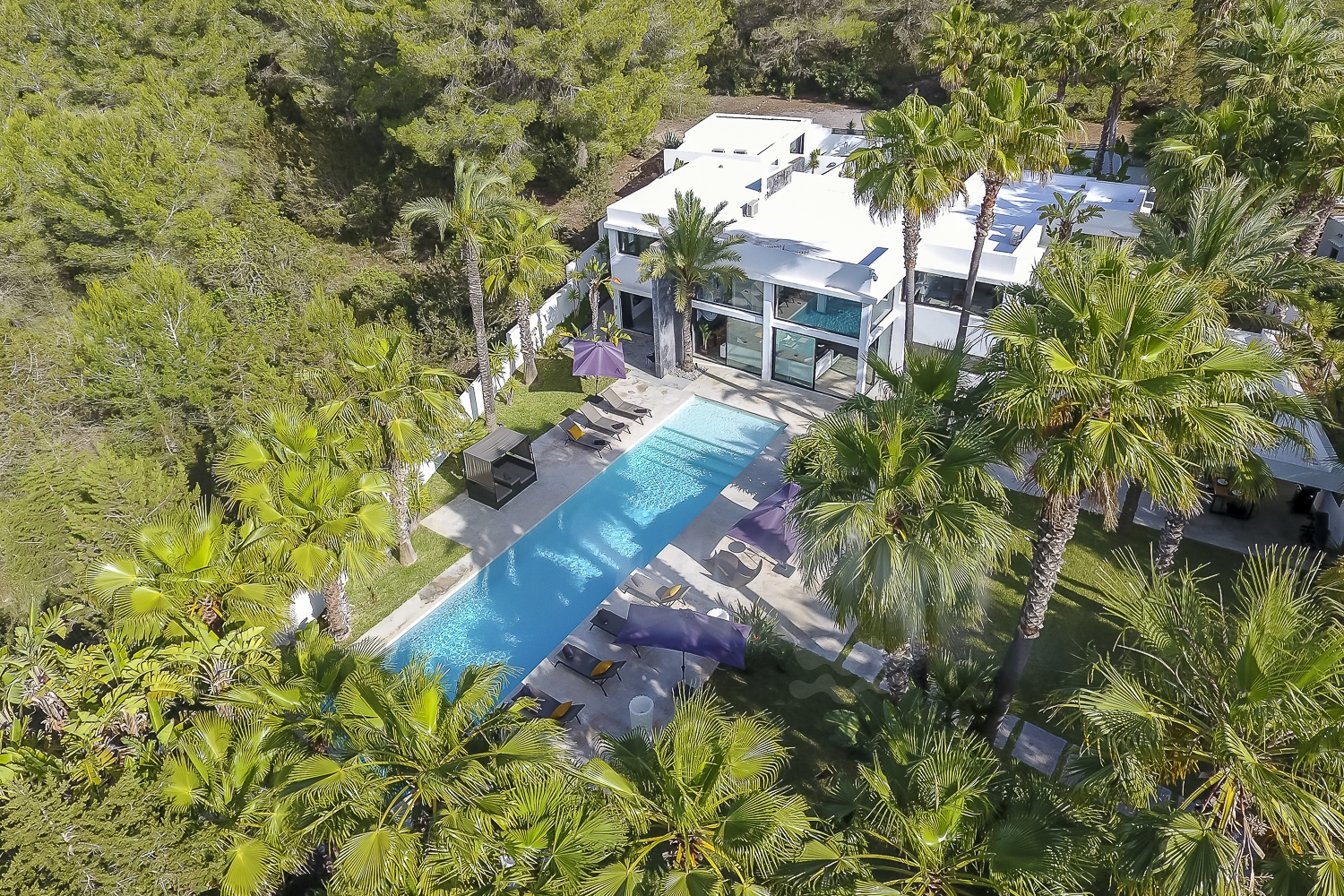 Zoe, Sant Antonio 100