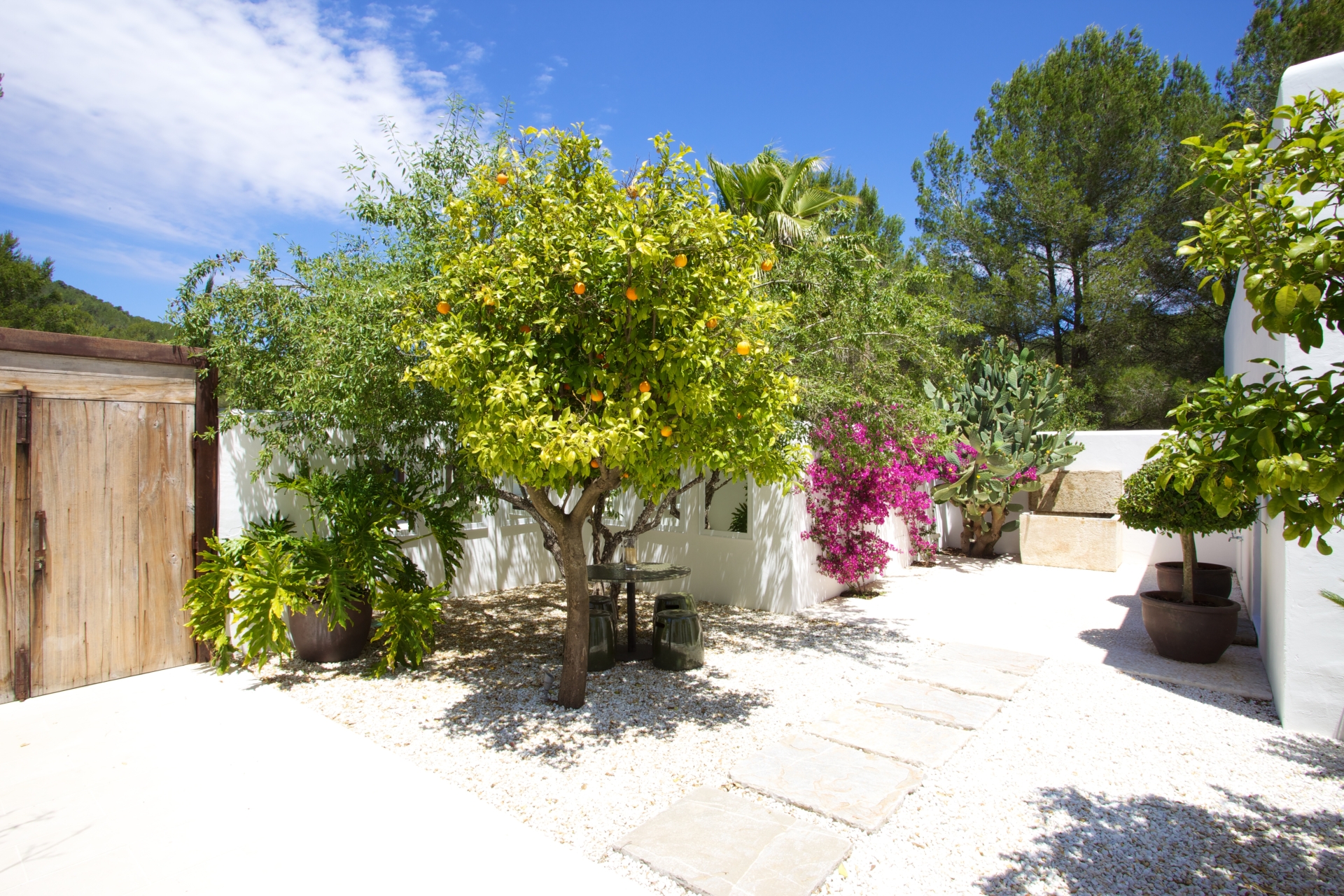 Elisa, Santa Gertrudis 59