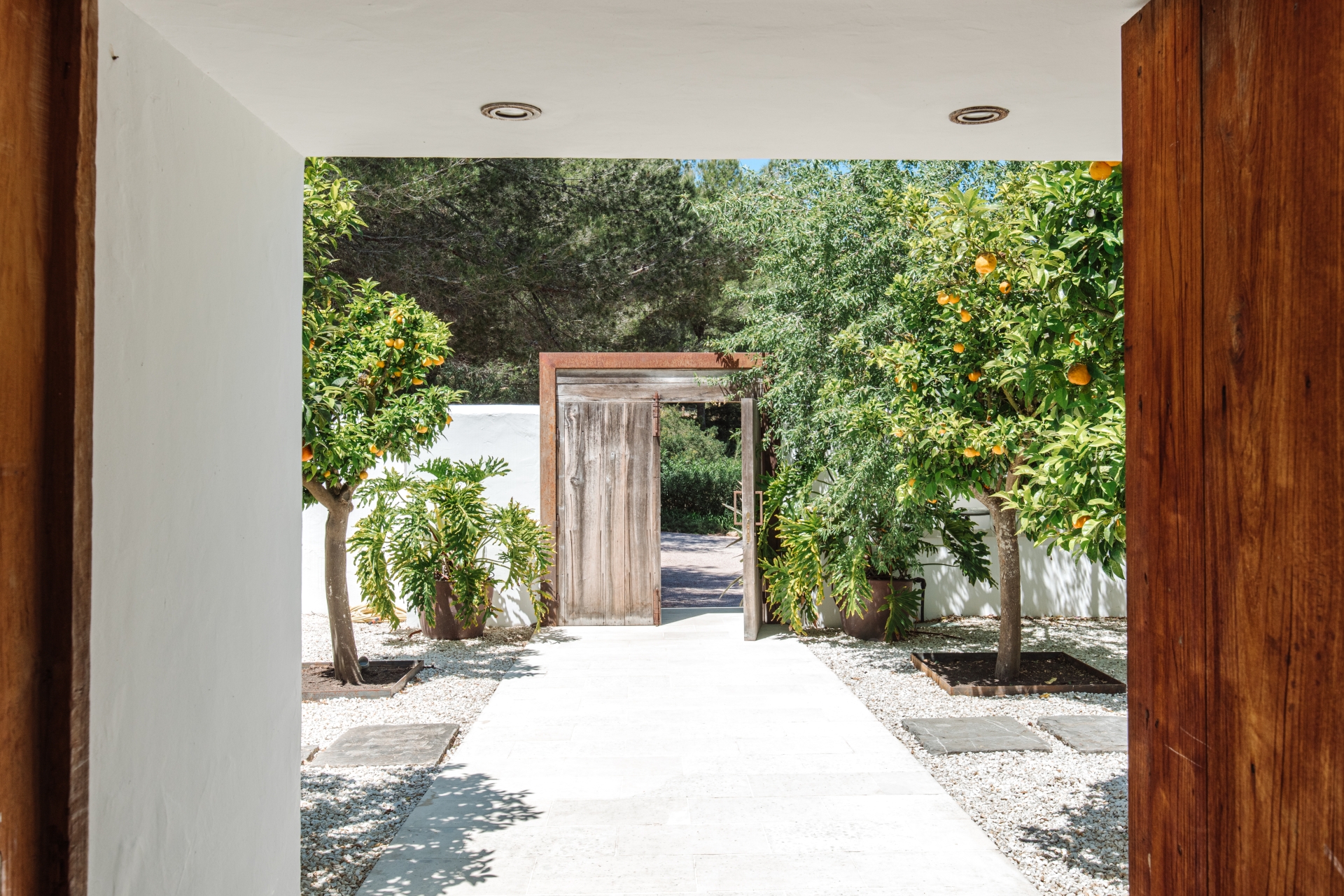 Elisa, Santa Gertrudis 57