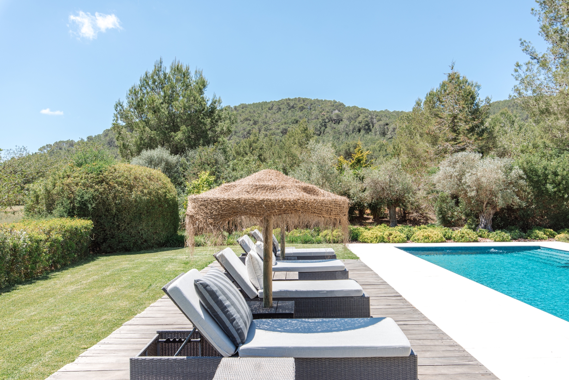 Elisa, Santa Gertrudis 5