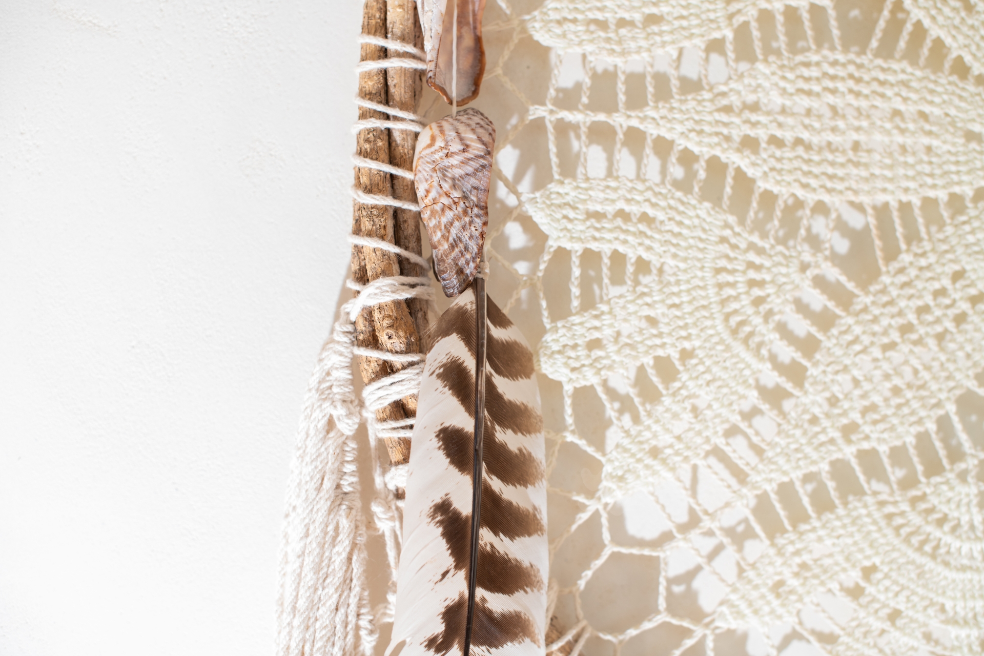 Callie, Can Furnet 67