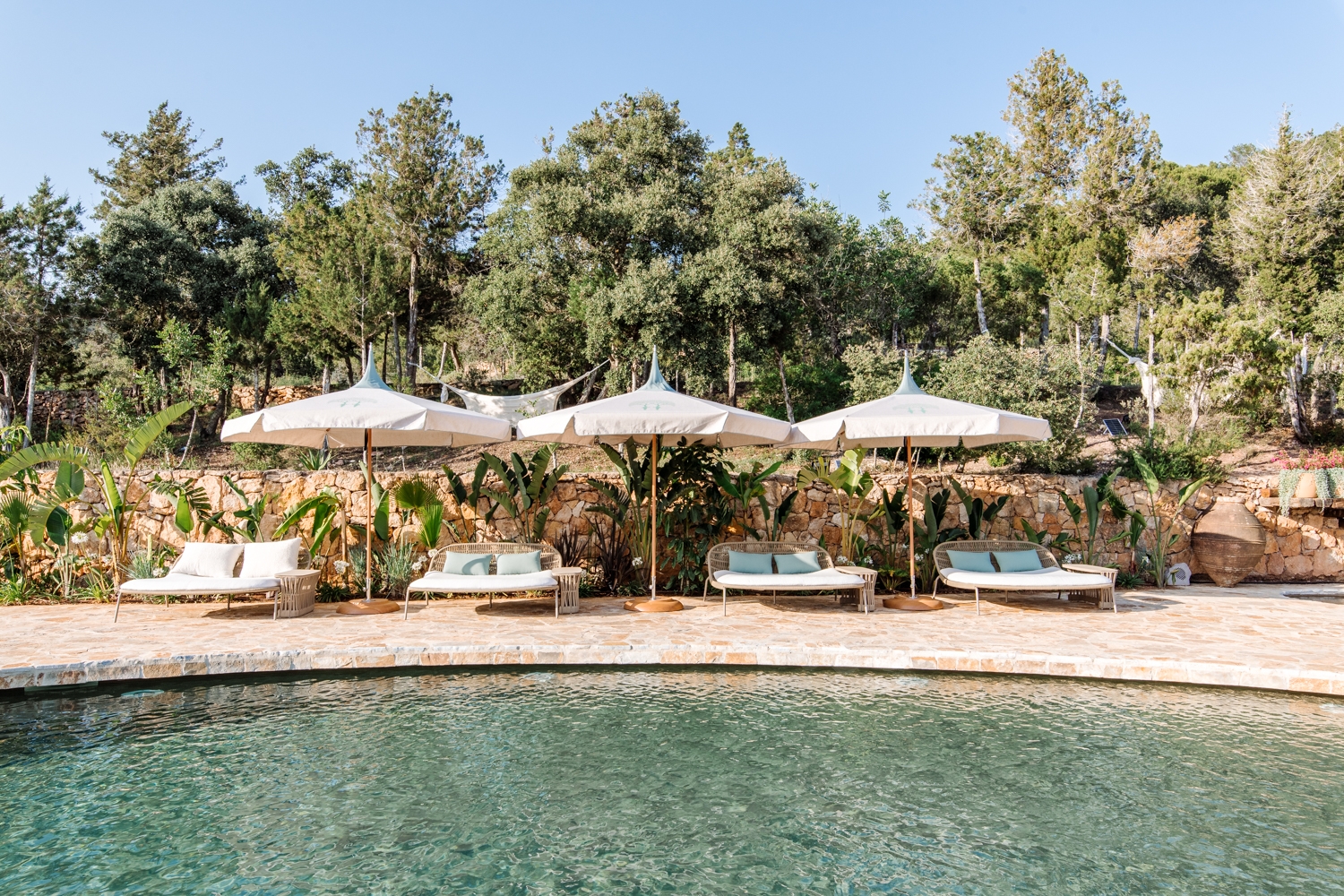 Danie, San Lorenzo 2