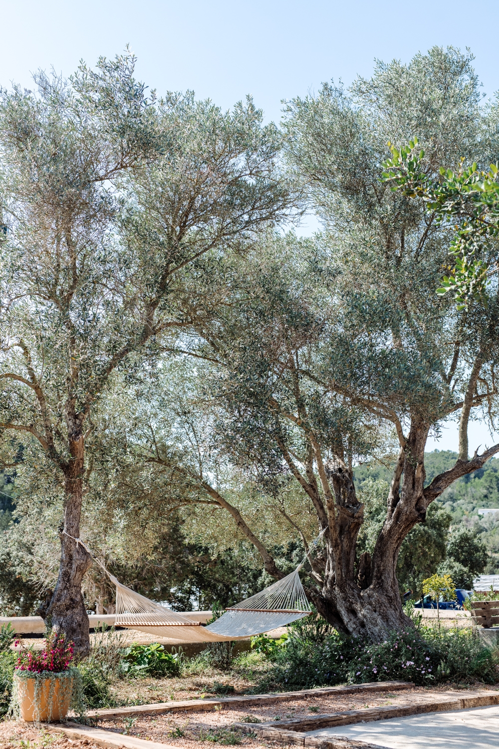 Danie, San Lorenzo 53