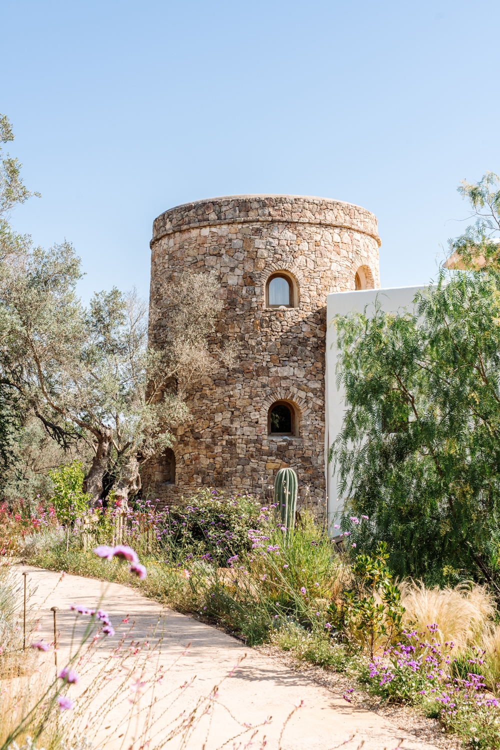 Danie, San Lorenzo 59