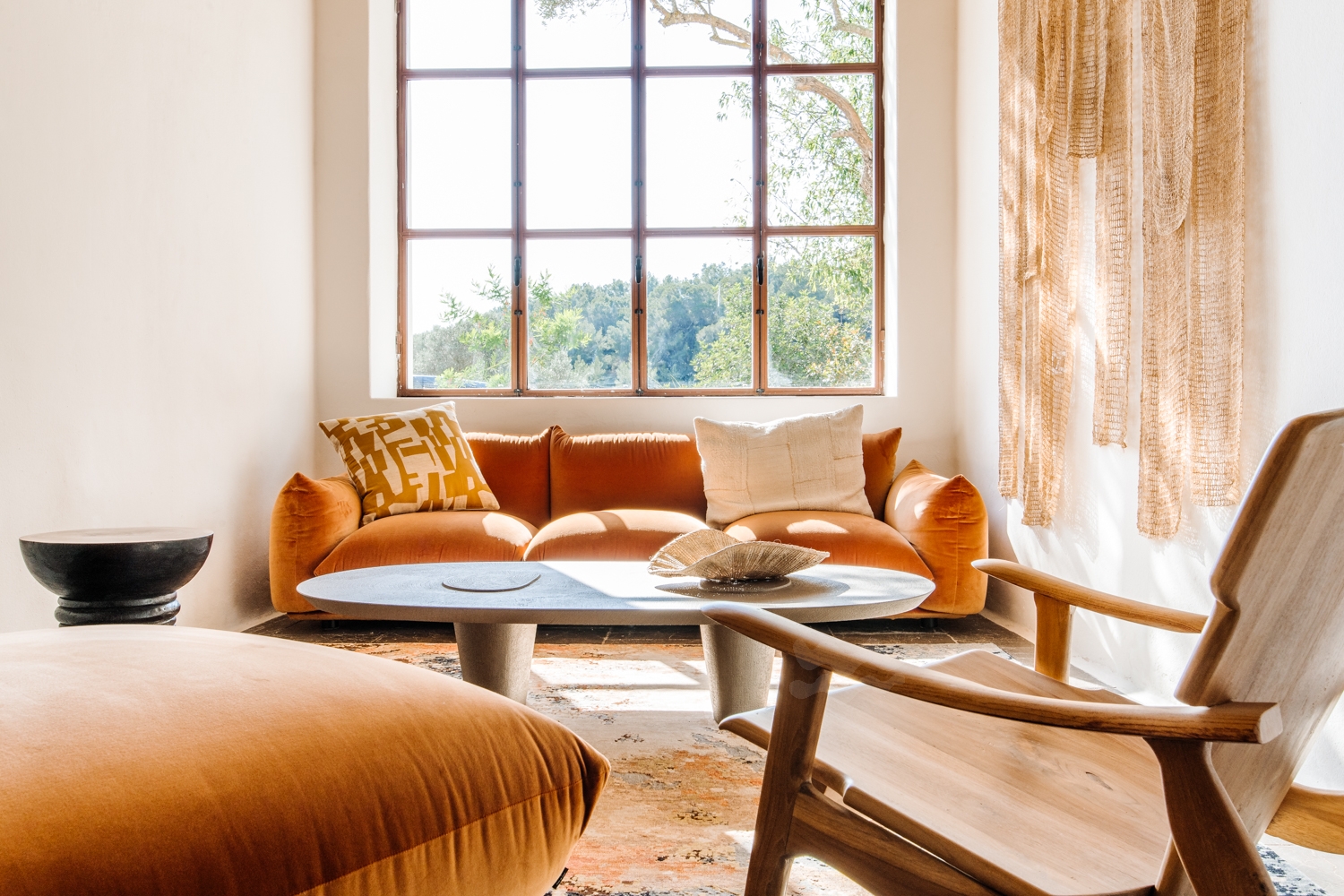 Danie, San Lorenzo 42