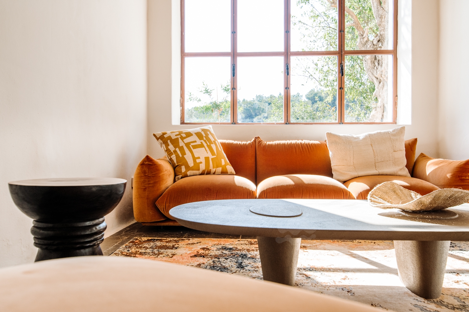 Danie, San Lorenzo 43