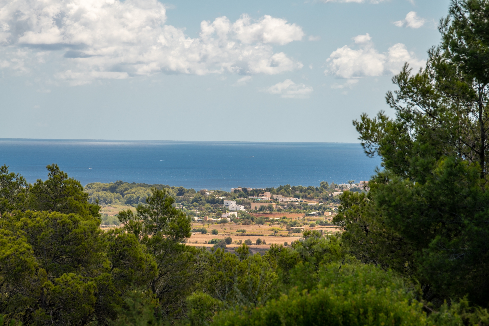 Nuria, Santa Gertrudis 41