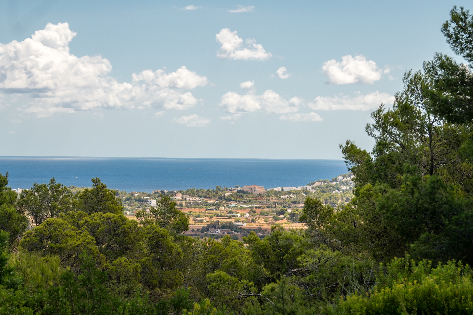 Nuria, Santa Gertrudis 43