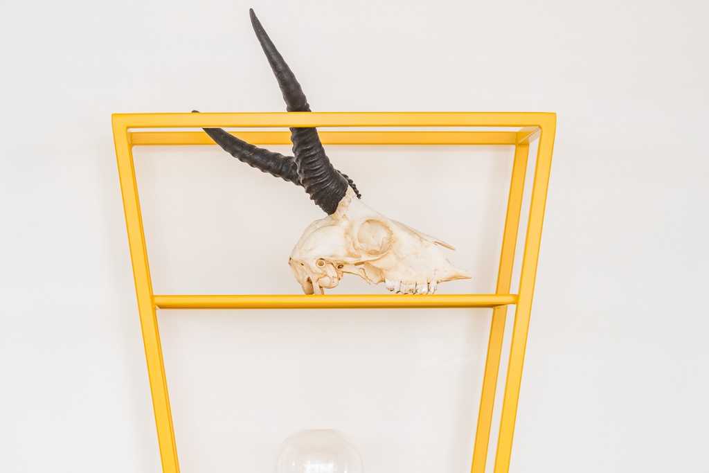 Audrey, Roca Llisa 59